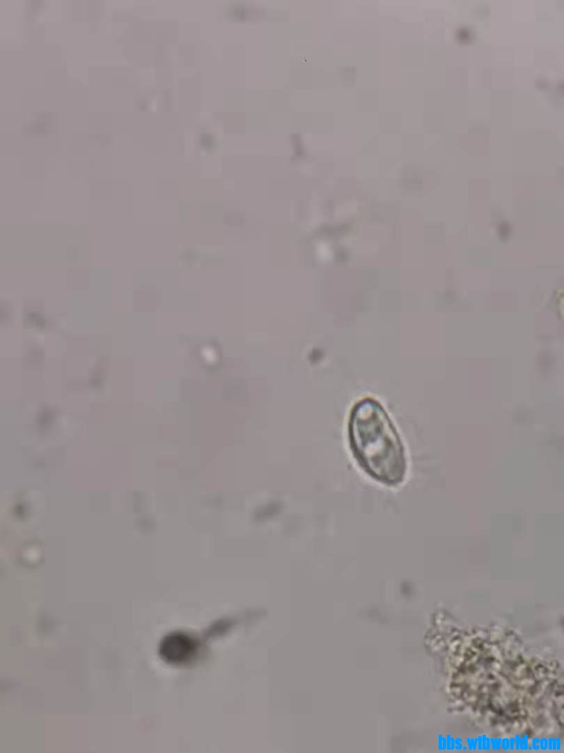 wechat_upload1633495412615d29749a0fc