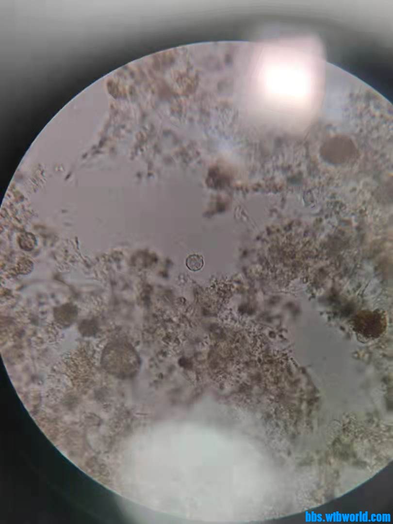 wechat_upload1633495412615d2974cca99