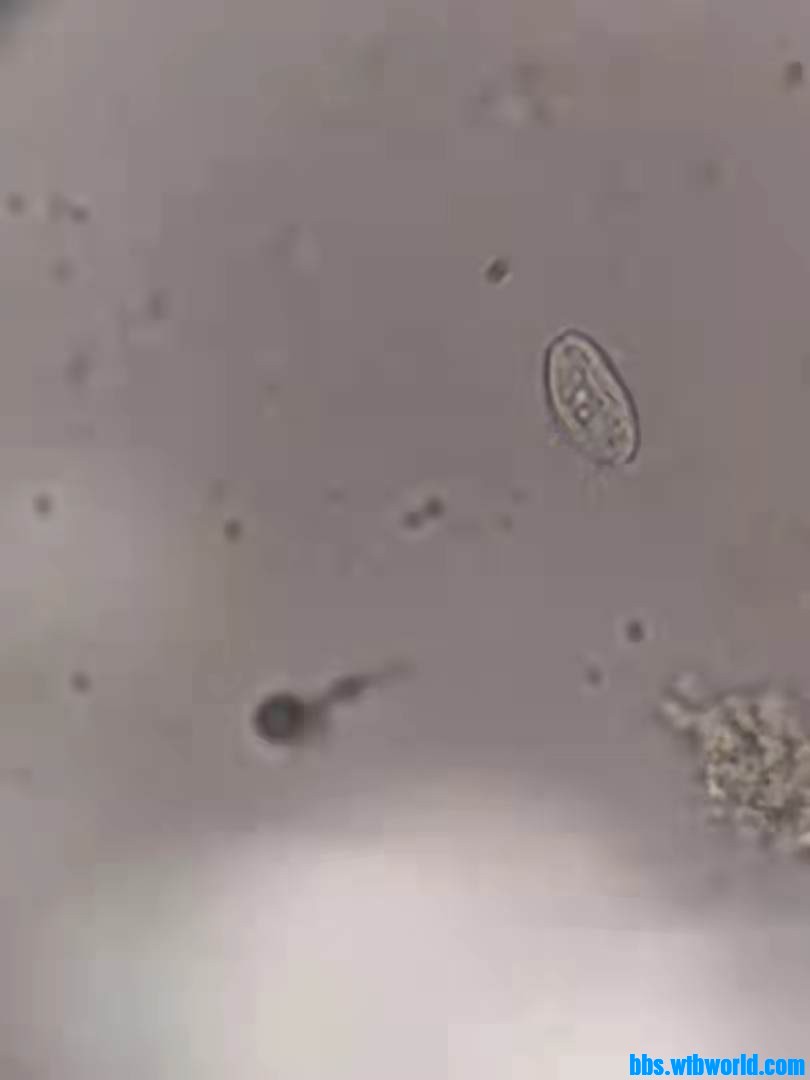 wechat_upload1633495412615d297440214