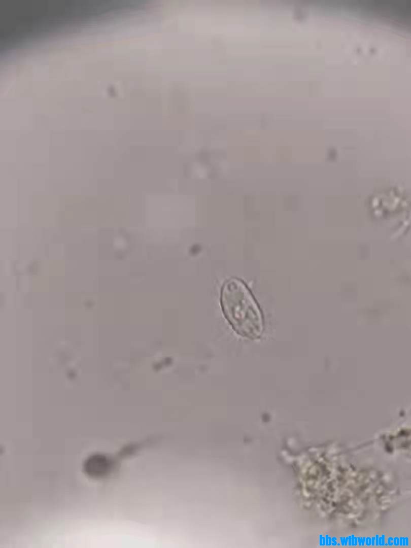 wechat_upload1633495412615d29746c12d