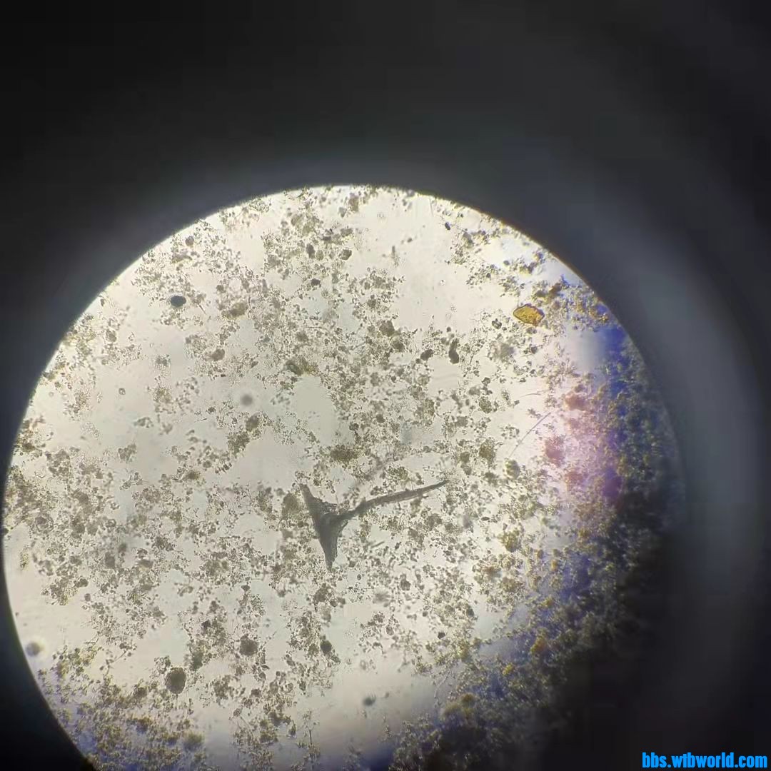 wechat_upload16337436316160f30f1933a