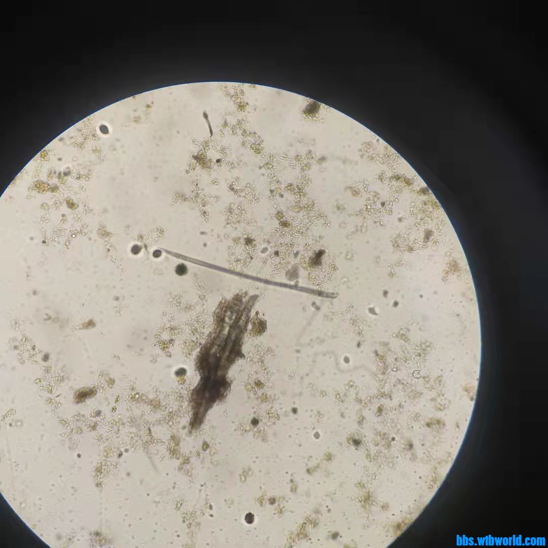 wechat_upload16337437286160f3709528e