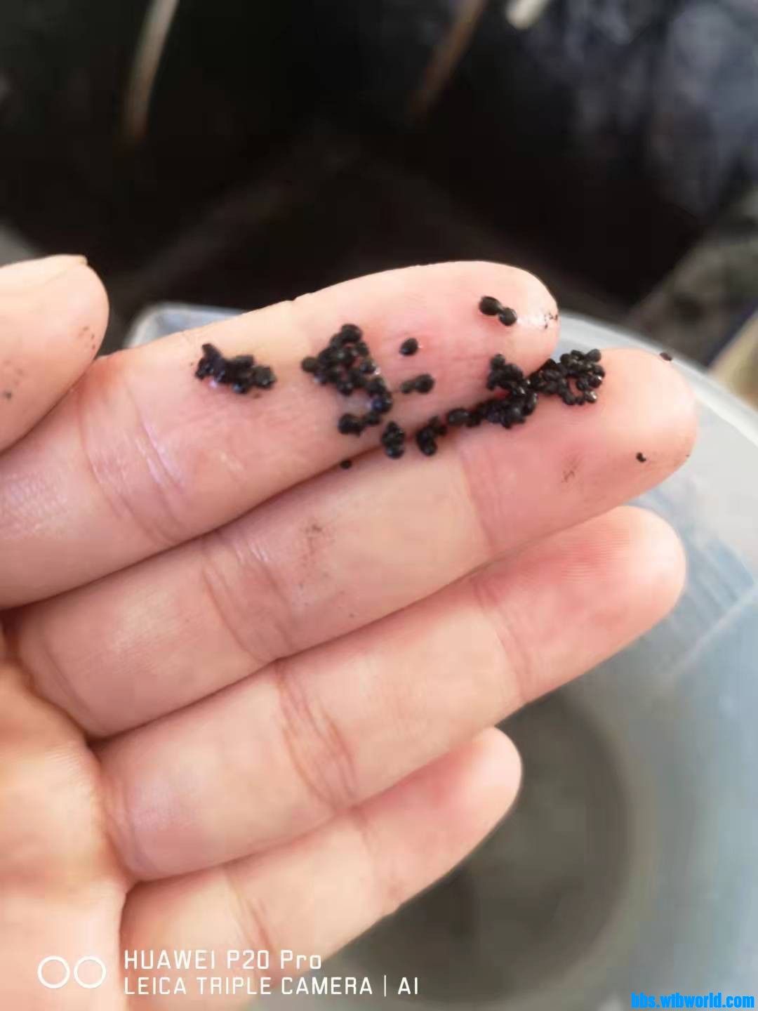 wechat_upload163378334361618e2f67945