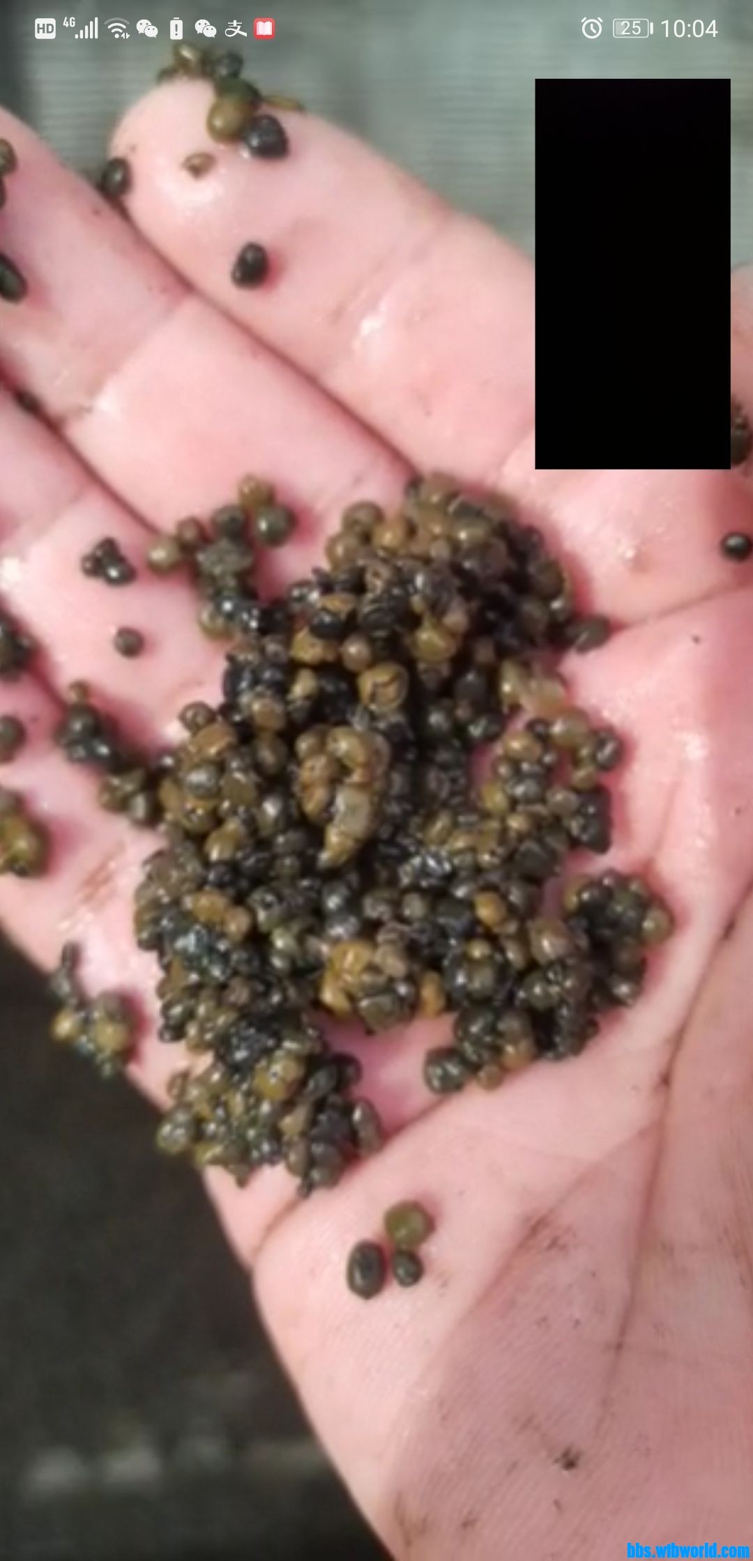 wechat_upload163378334361618e2f21653