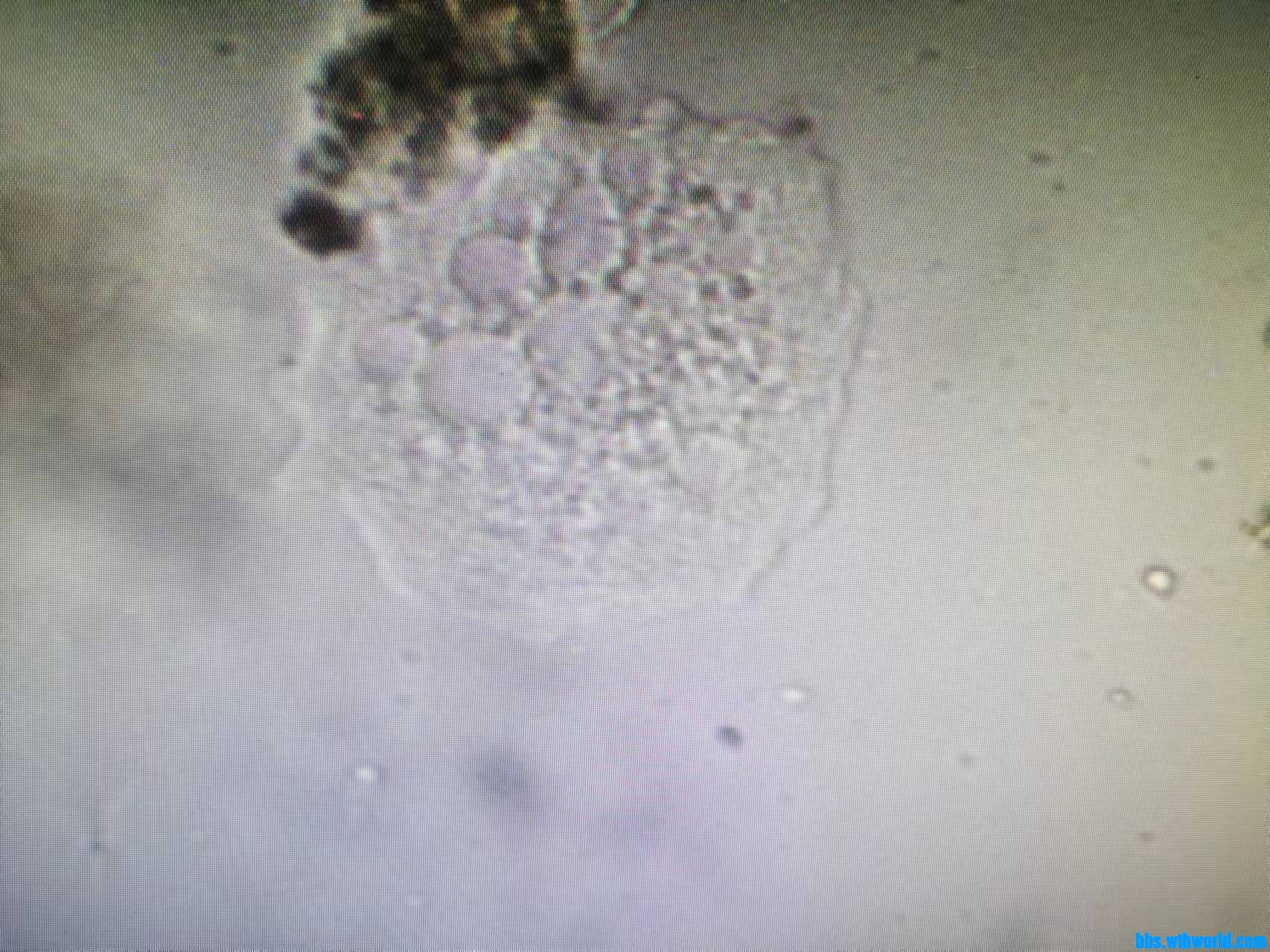 wechat_upload16340034926164ea24f3a2b