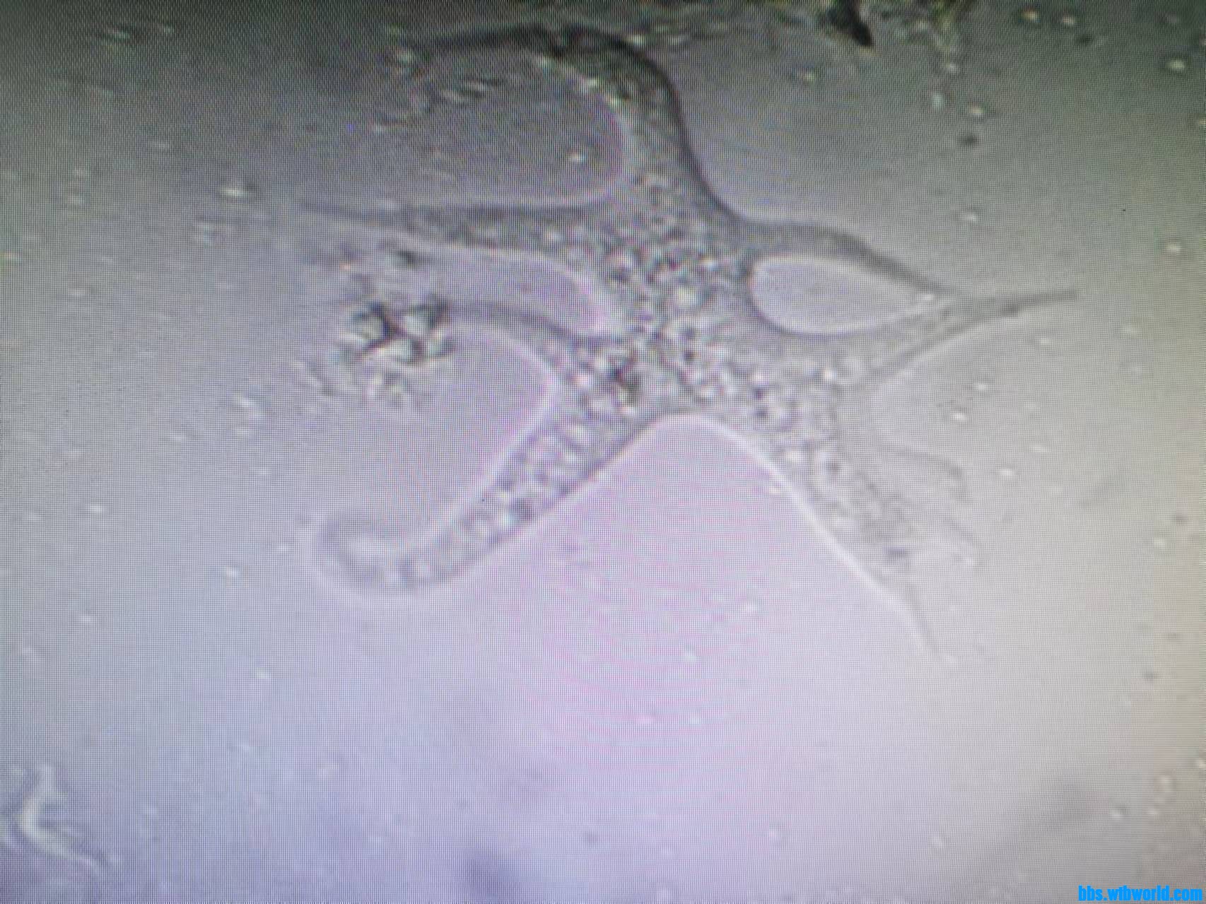 wechat_upload16340034926164ea248f86f