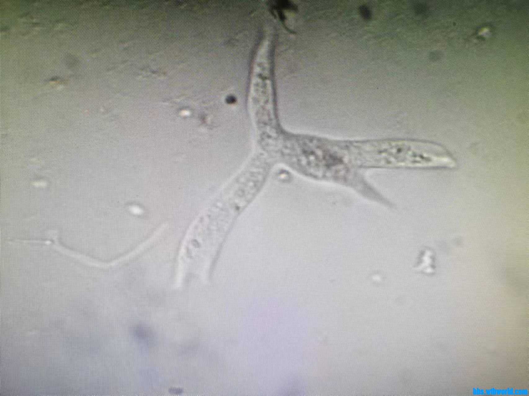 wechat_upload16340034936164ea25749ab