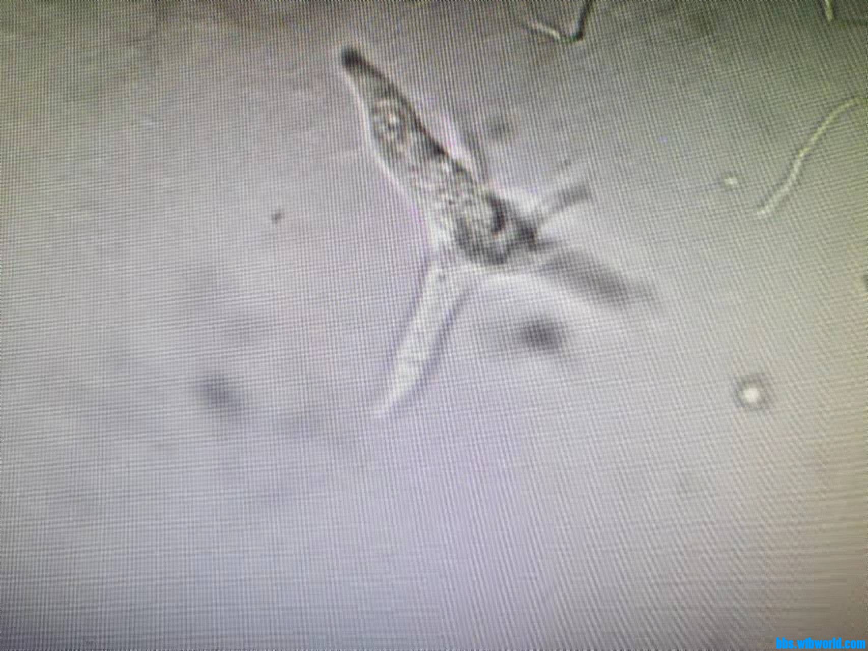 wechat_upload16340034936164ea25c6ad7