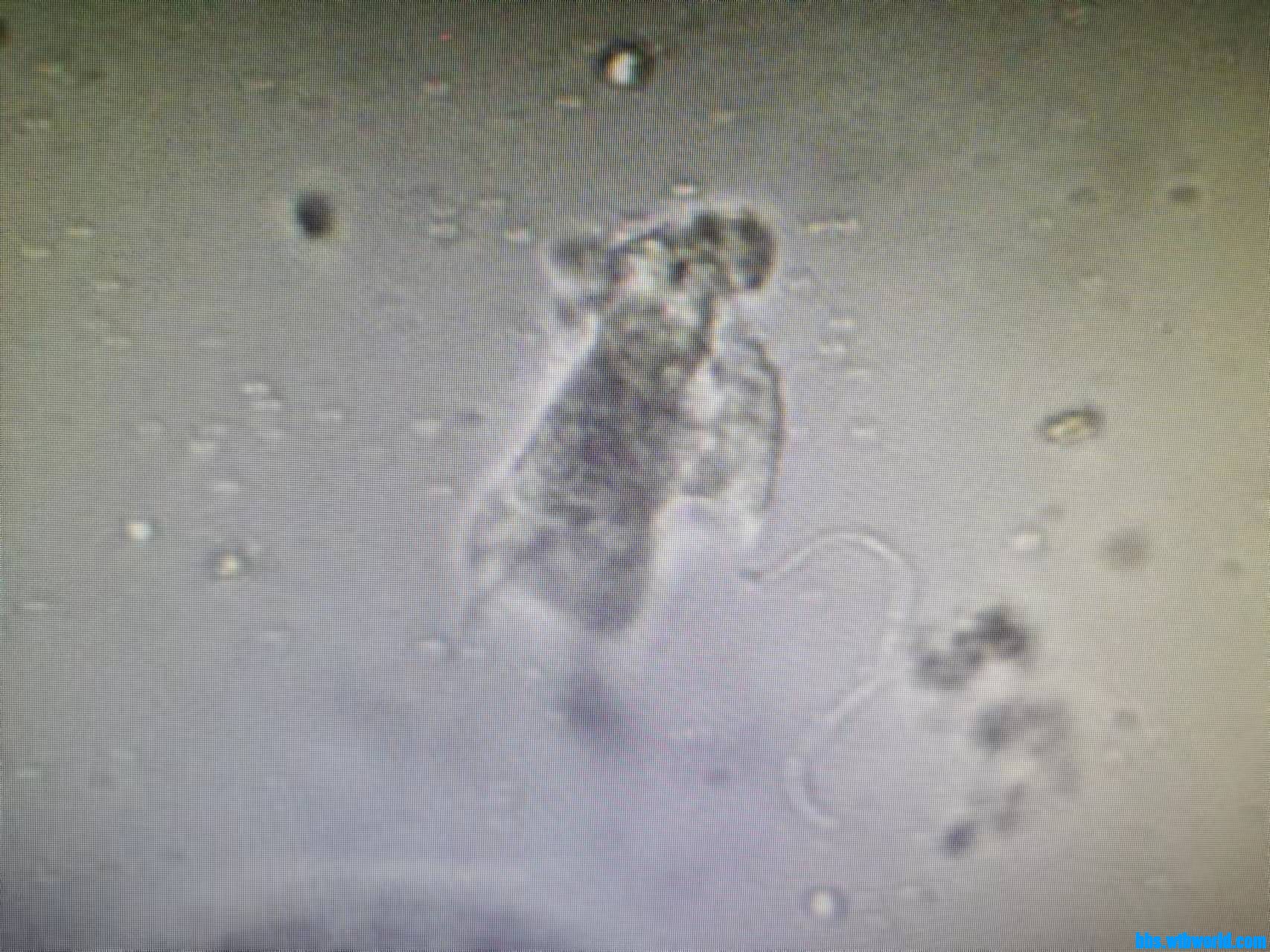 wechat_upload16340034946164ea2629c0a