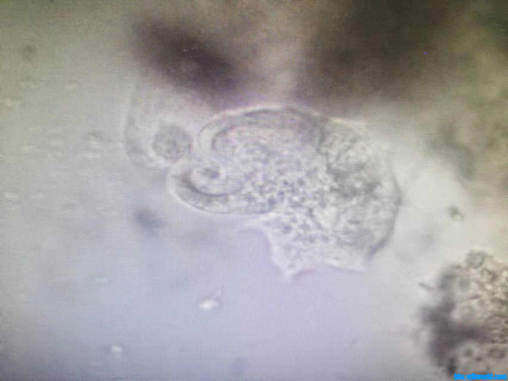 wechat_upload16340034946164ea267d4ac