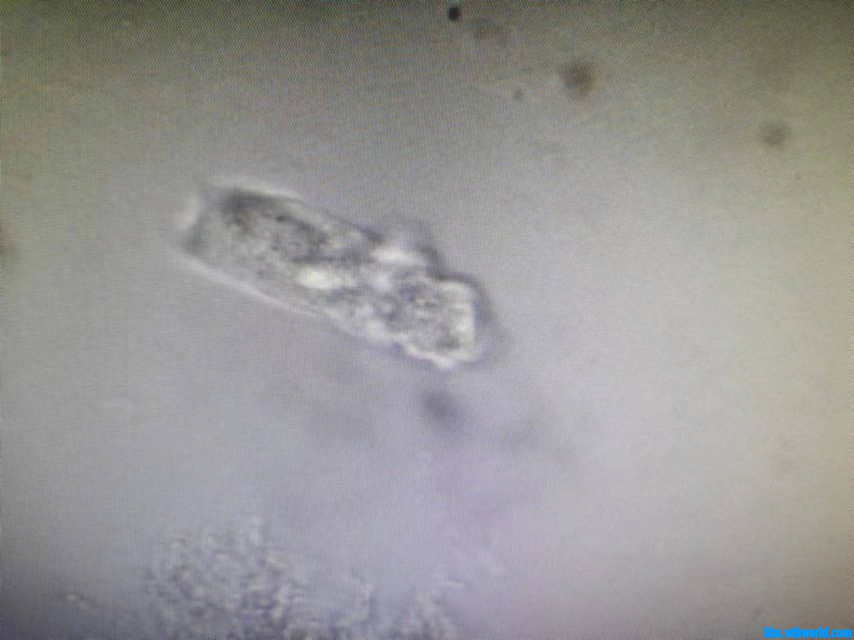 wechat_upload16340034956164ea273e0d9