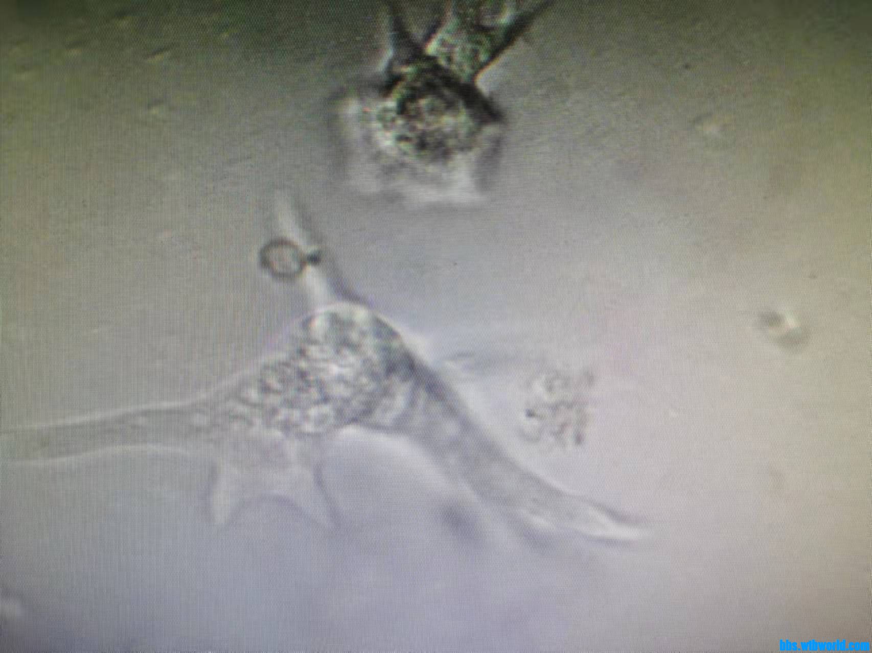 wechat_upload16340034956164ea278d4d1