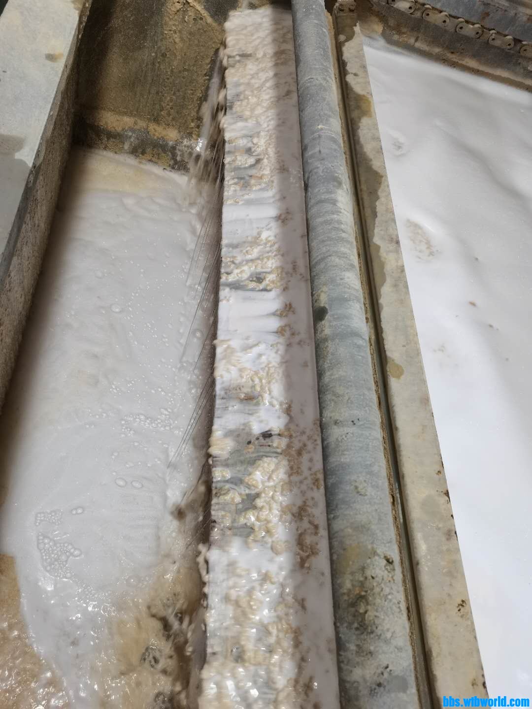 wechat_upload16341084746166843a43626