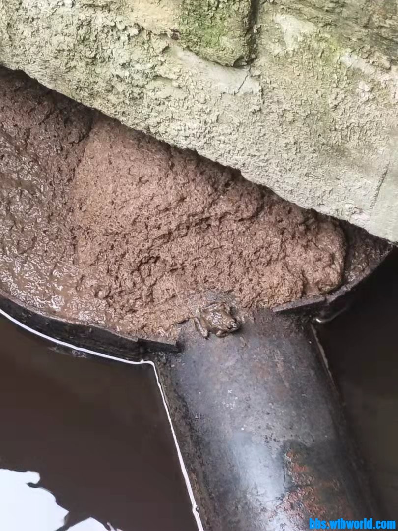 wechat_upload16341818986167a30a9e485