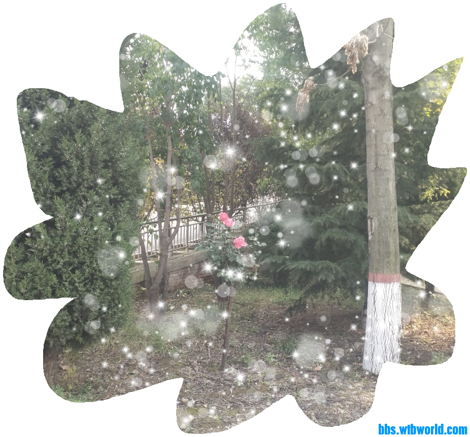 wechat_upload1634546928616d34f00aac4