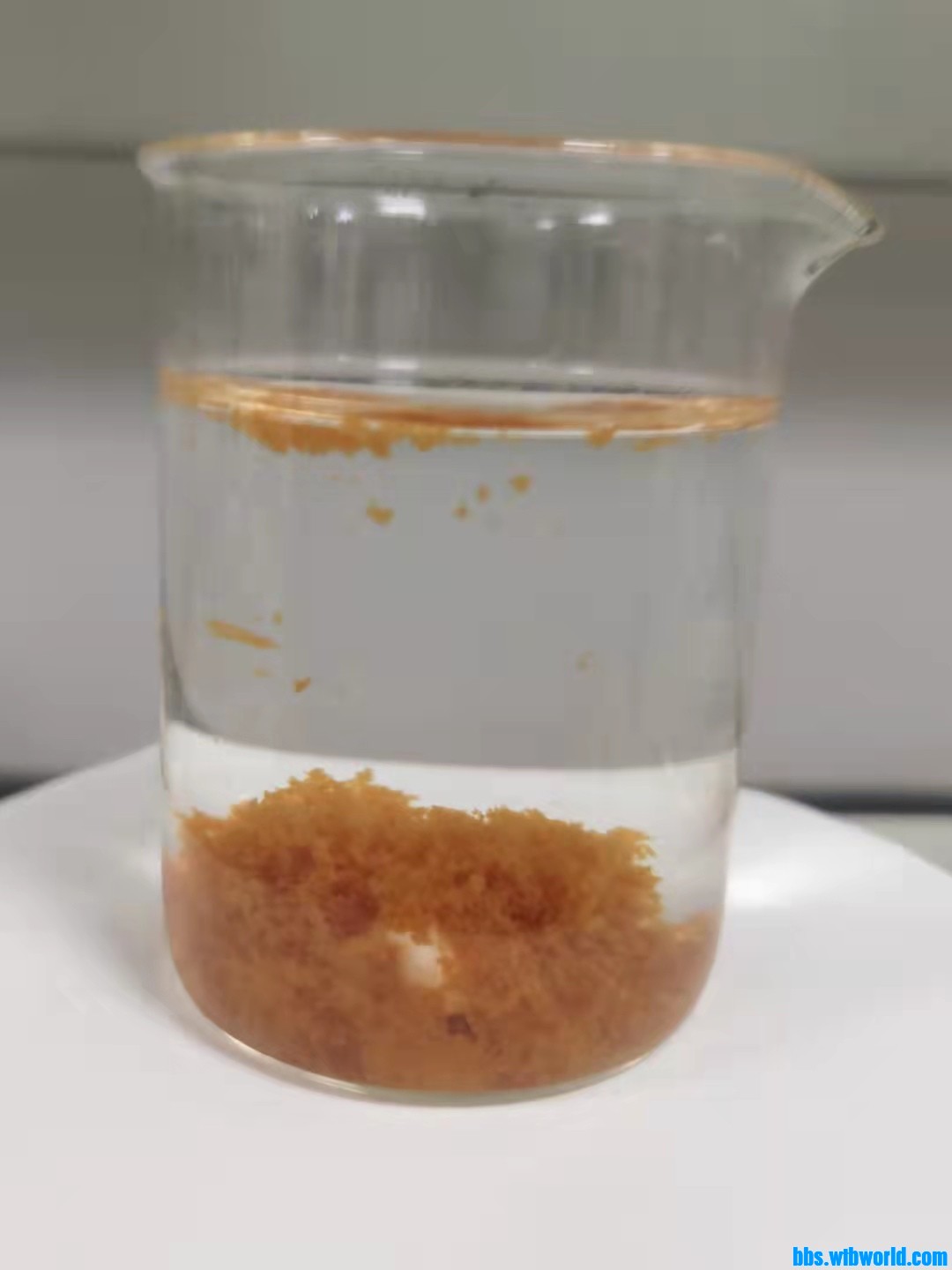 wechat_upload163495468661736dbe8c0b2