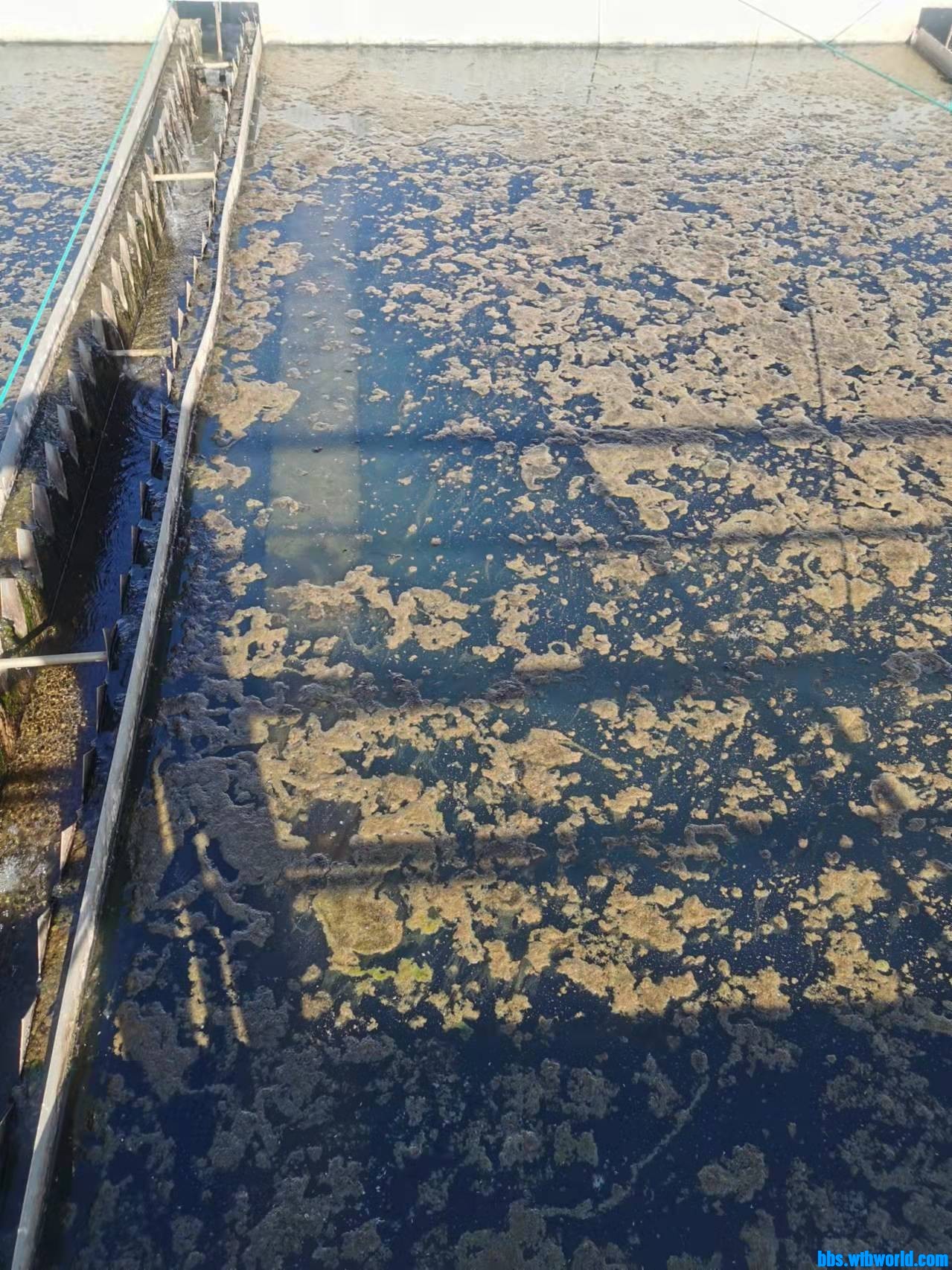 wechat_upload16352973936178a871ba038