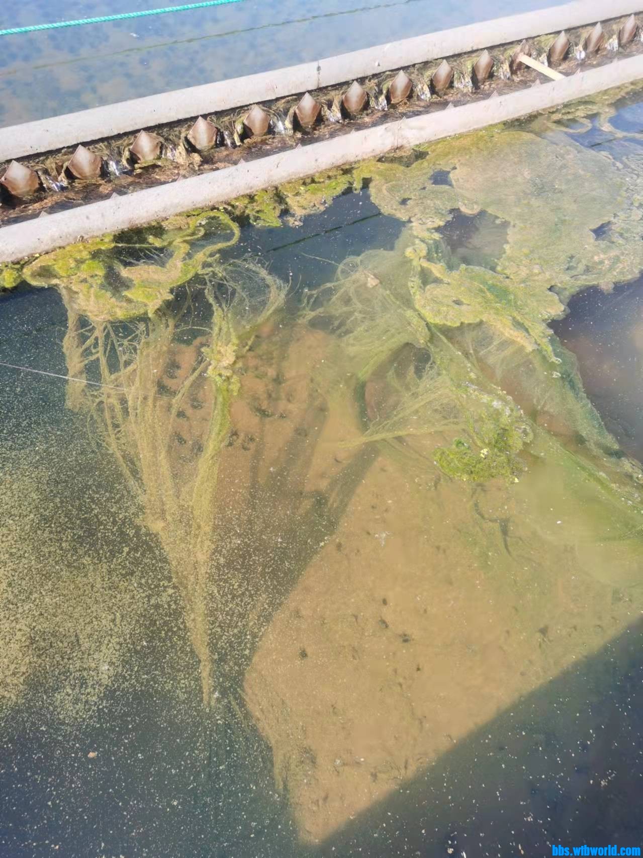 wechat_upload16352973946178a87216350