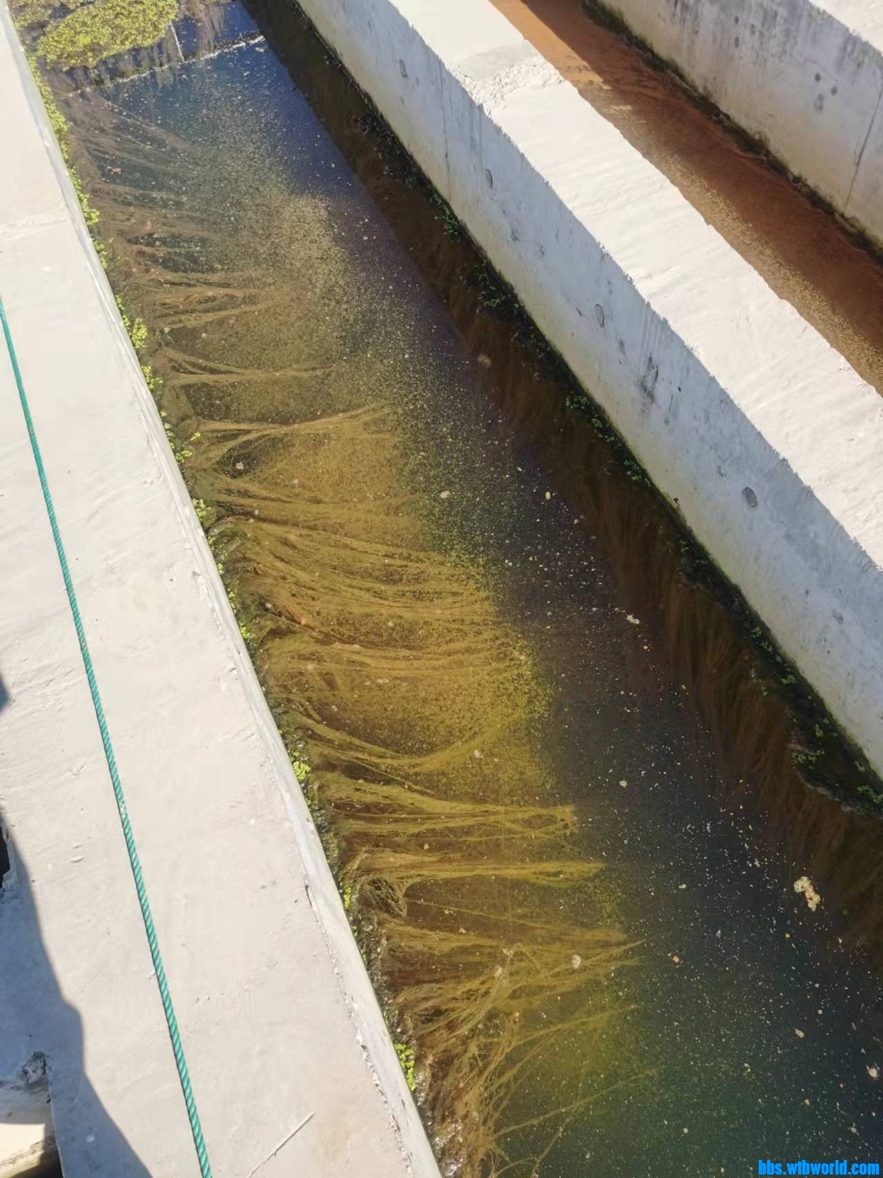 wechat_upload16352973946178a8726ada7