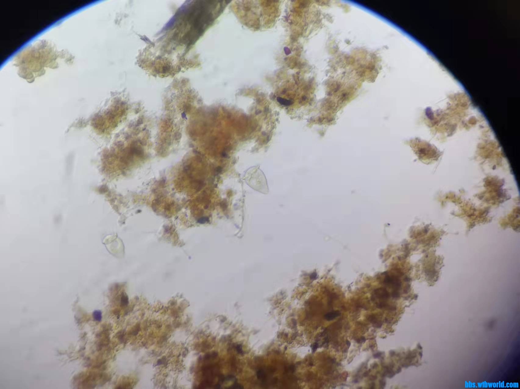 wechat_upload1635390603617a148b6d7f5