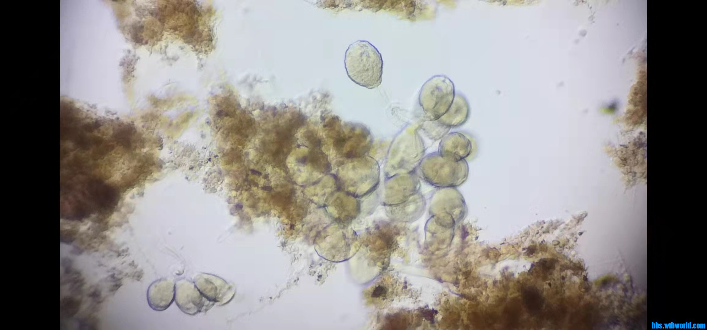 wechat_upload1635390603617a148bd9be5