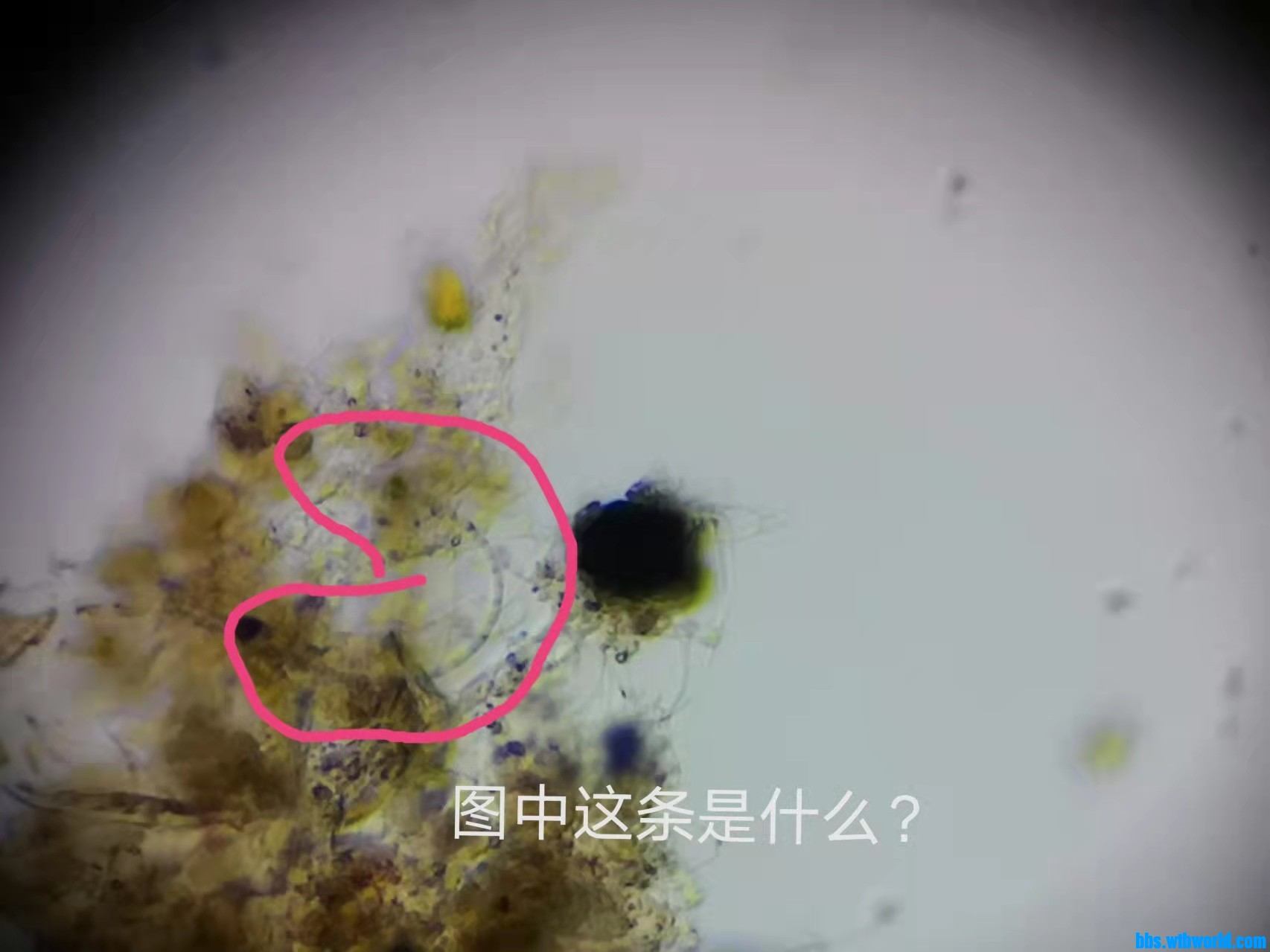 wechat_upload1635390605617a148d76b81