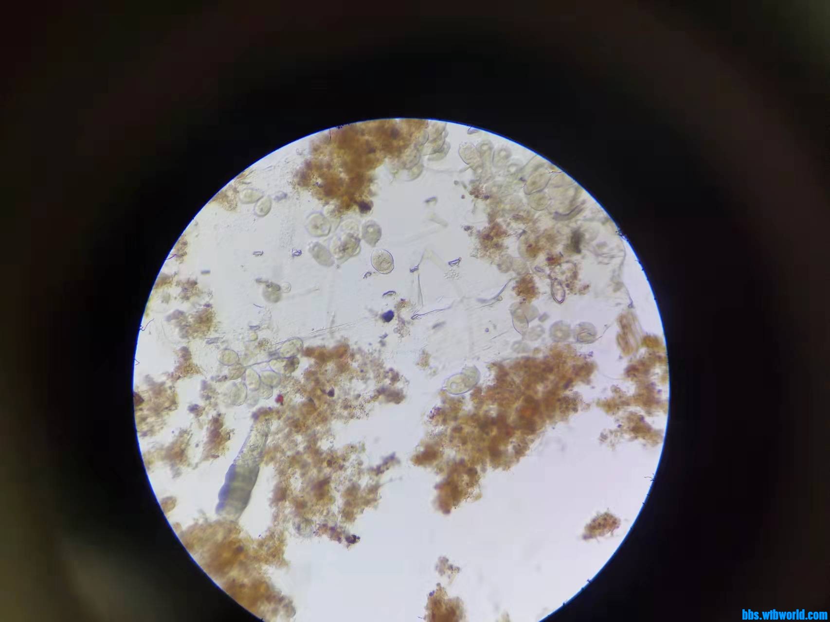 wechat_upload1635390605617a148dbf59a