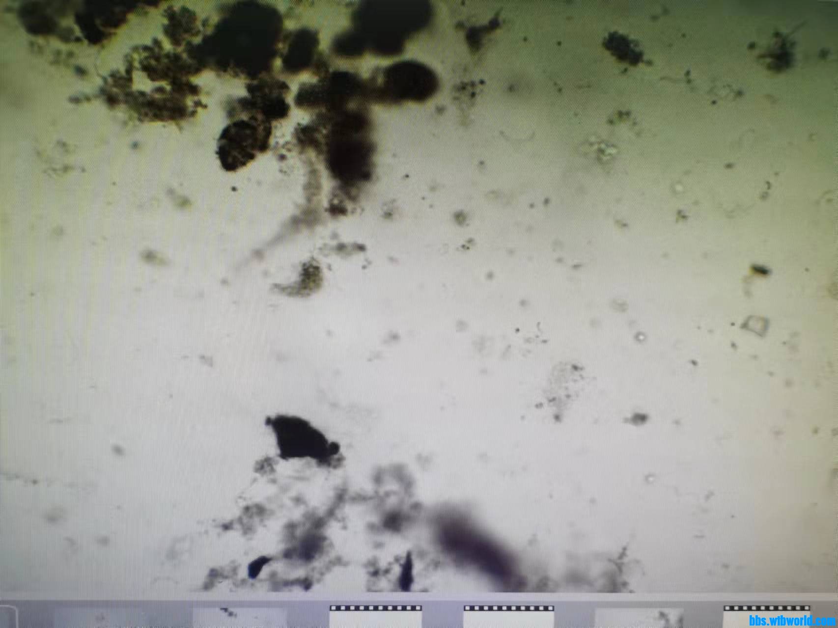 wechat_upload1635409742617a5f4e6faa7