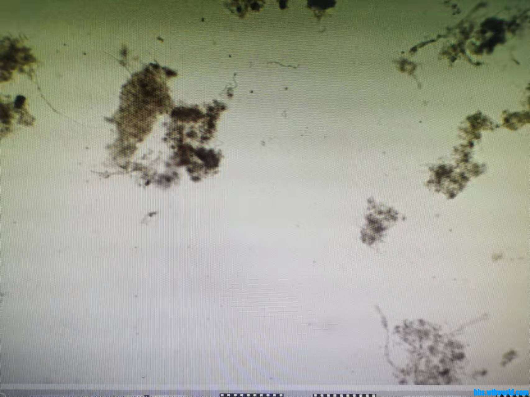 wechat_upload1635409742617a5f4e1e398