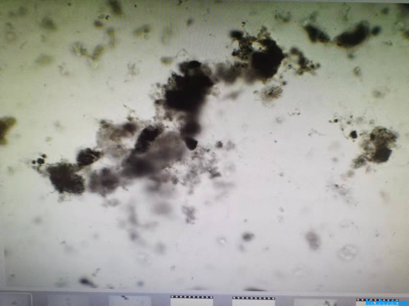 wechat_upload1635409742617a5f4ebf7d7