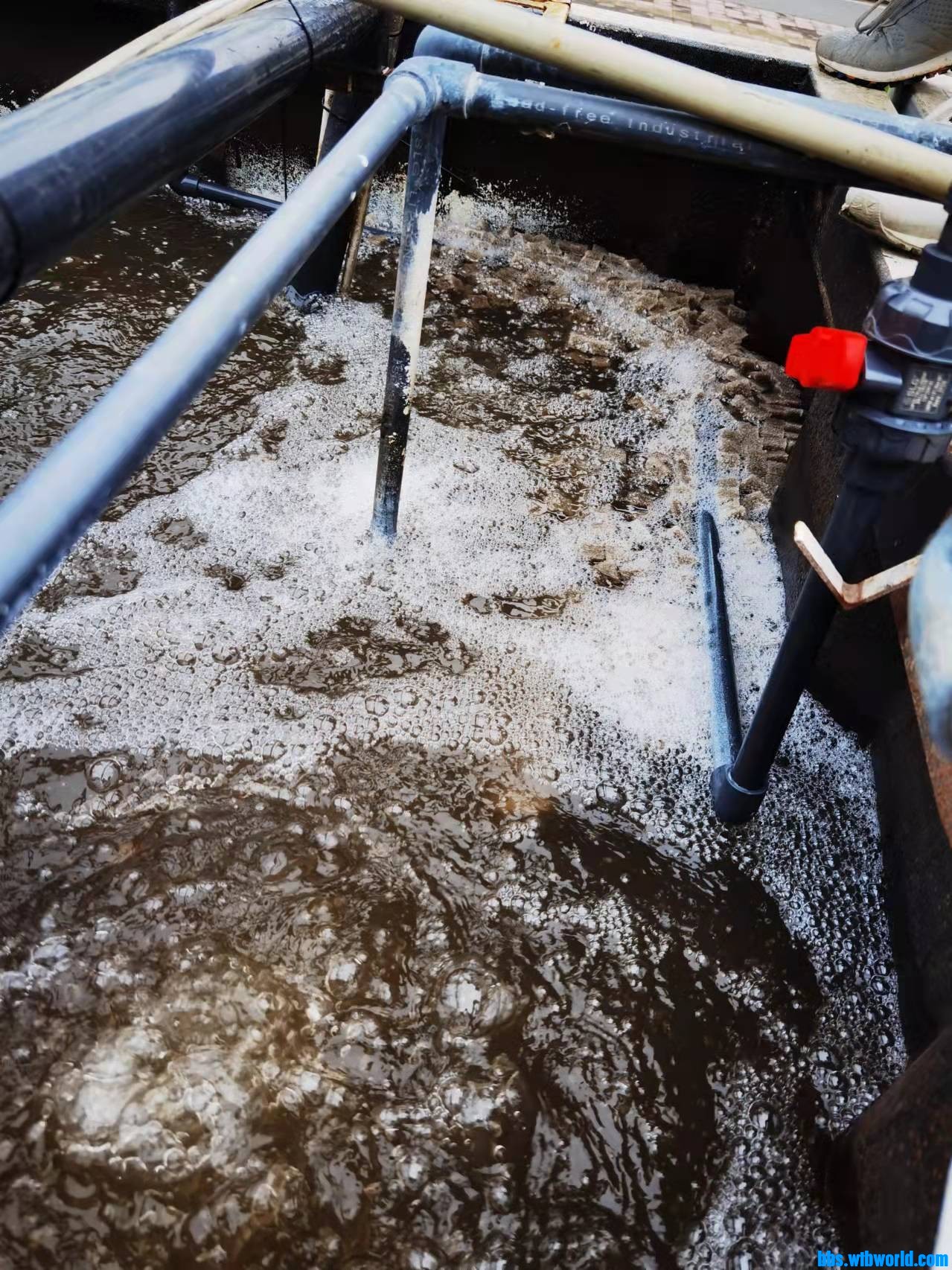 wechat_upload1635931134618253fe6ccc9