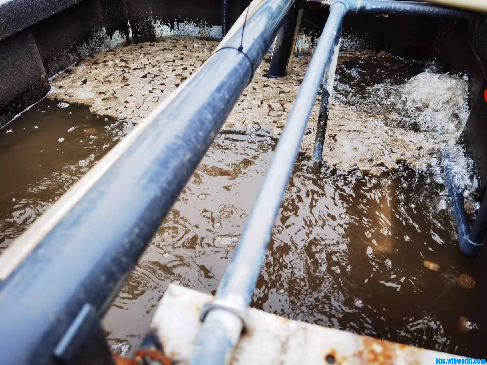 wechat_upload1635931135618253ff84884