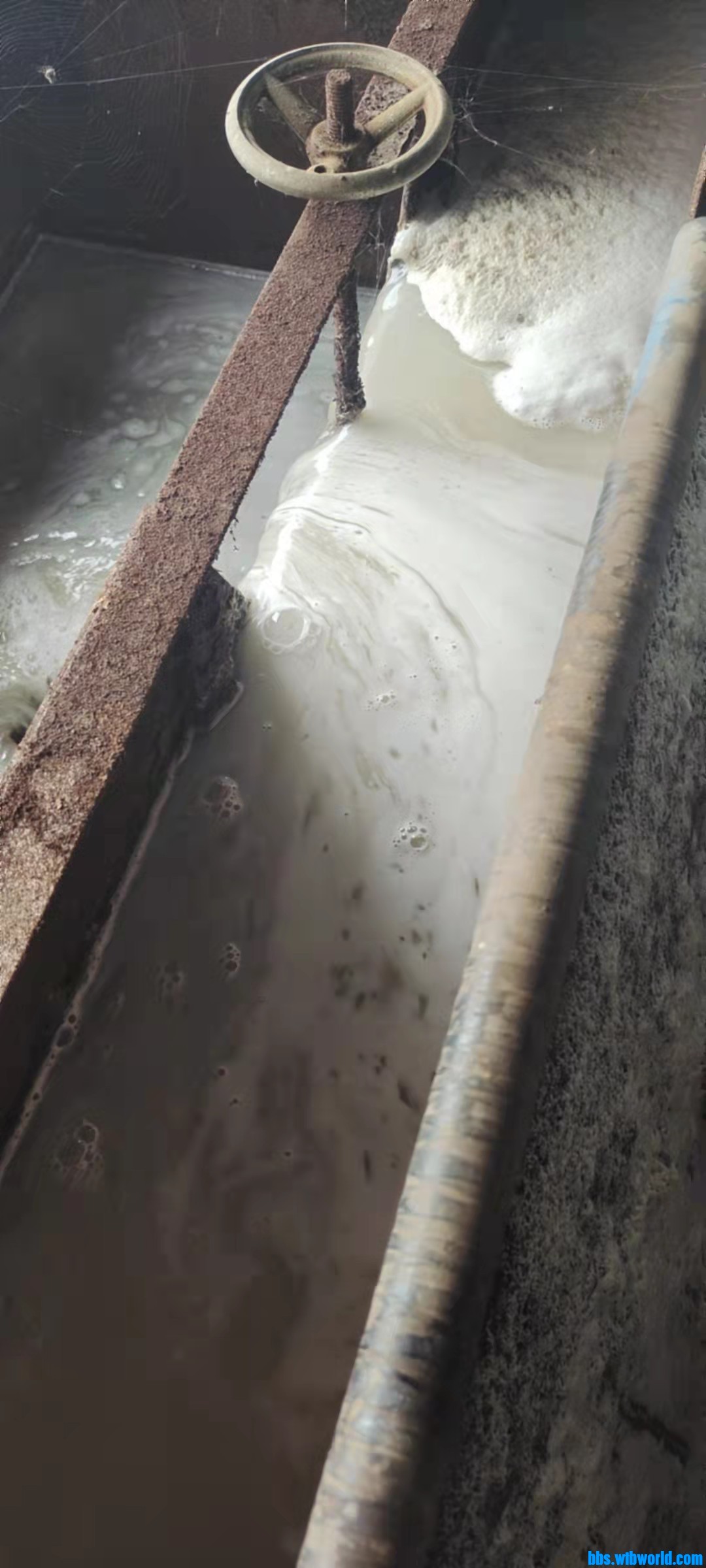 wechat_upload16360841496184a9b55511a