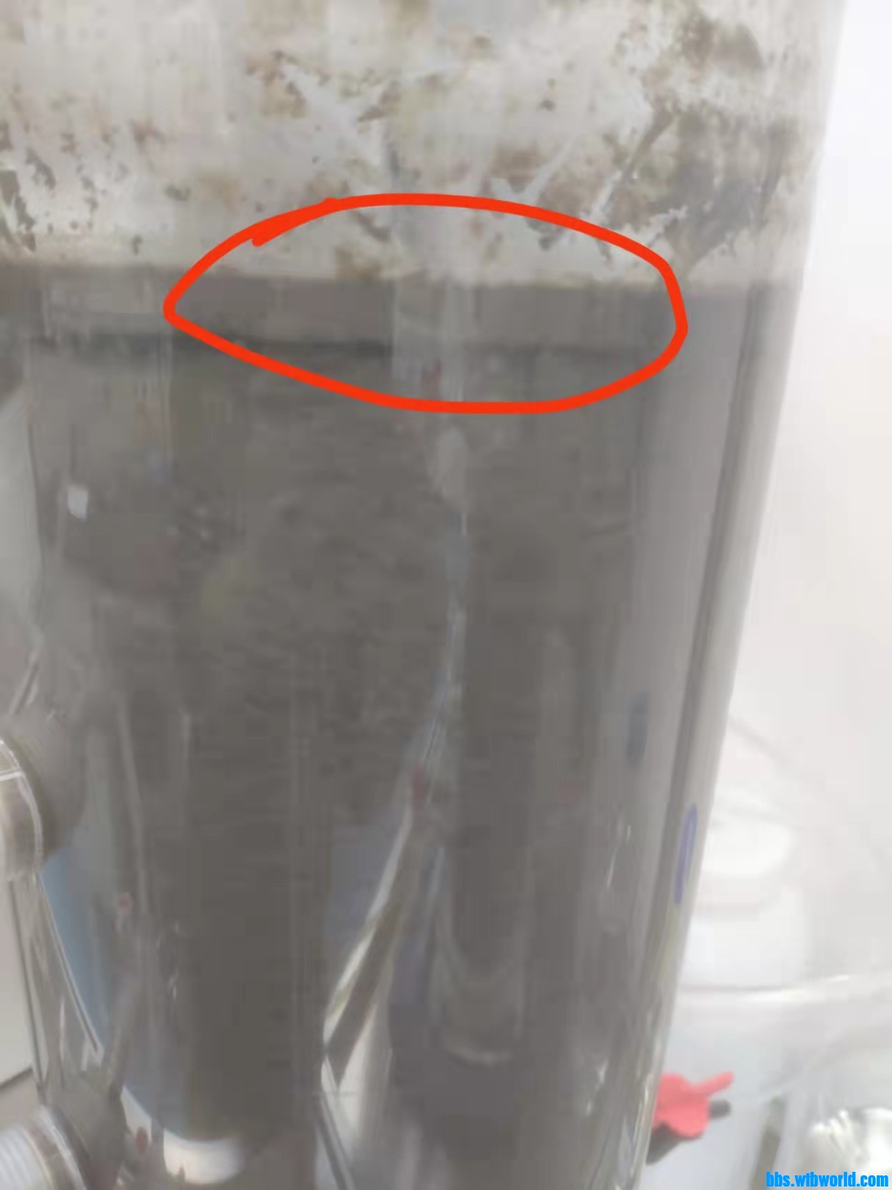 wechat_upload163696627461921f82ed100