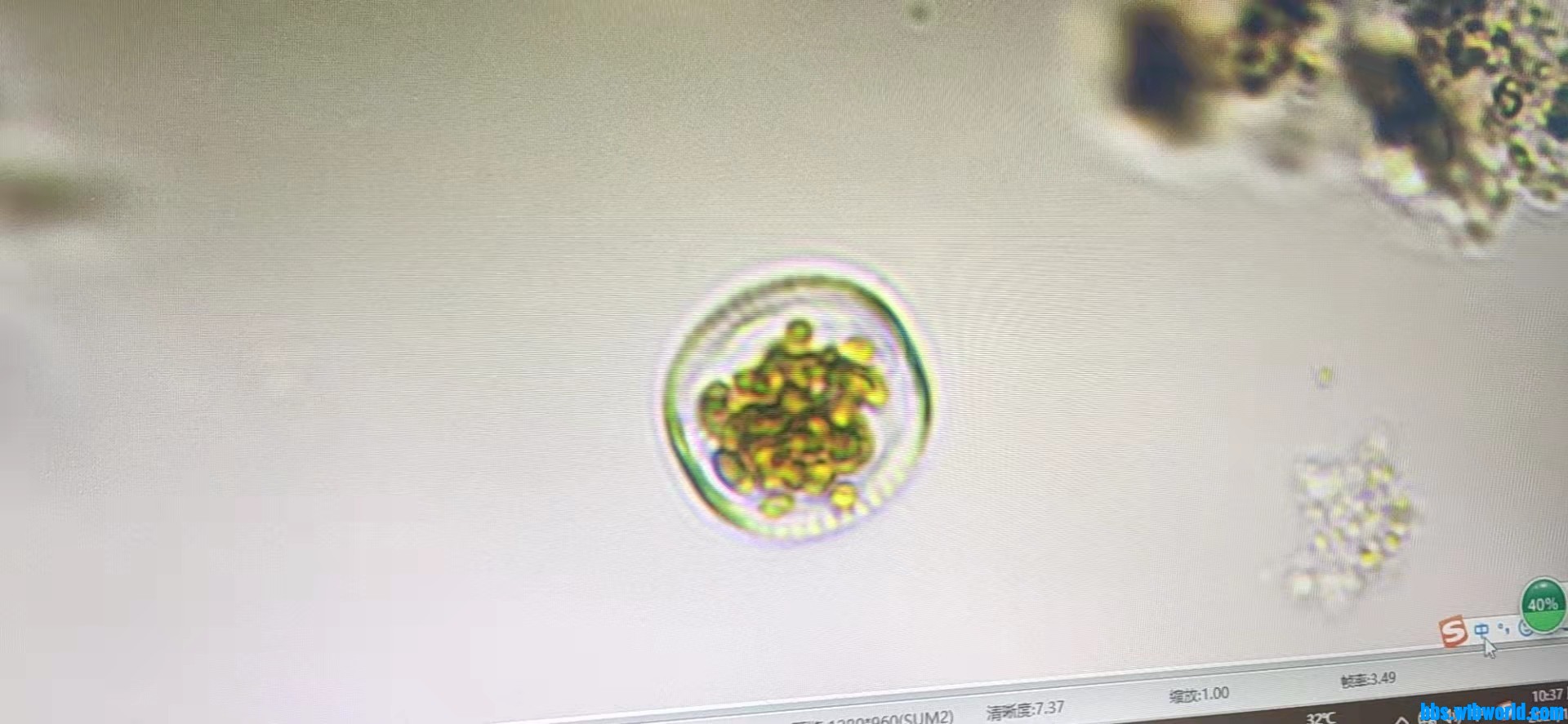 wechat_upload163729260661971a3ea468f