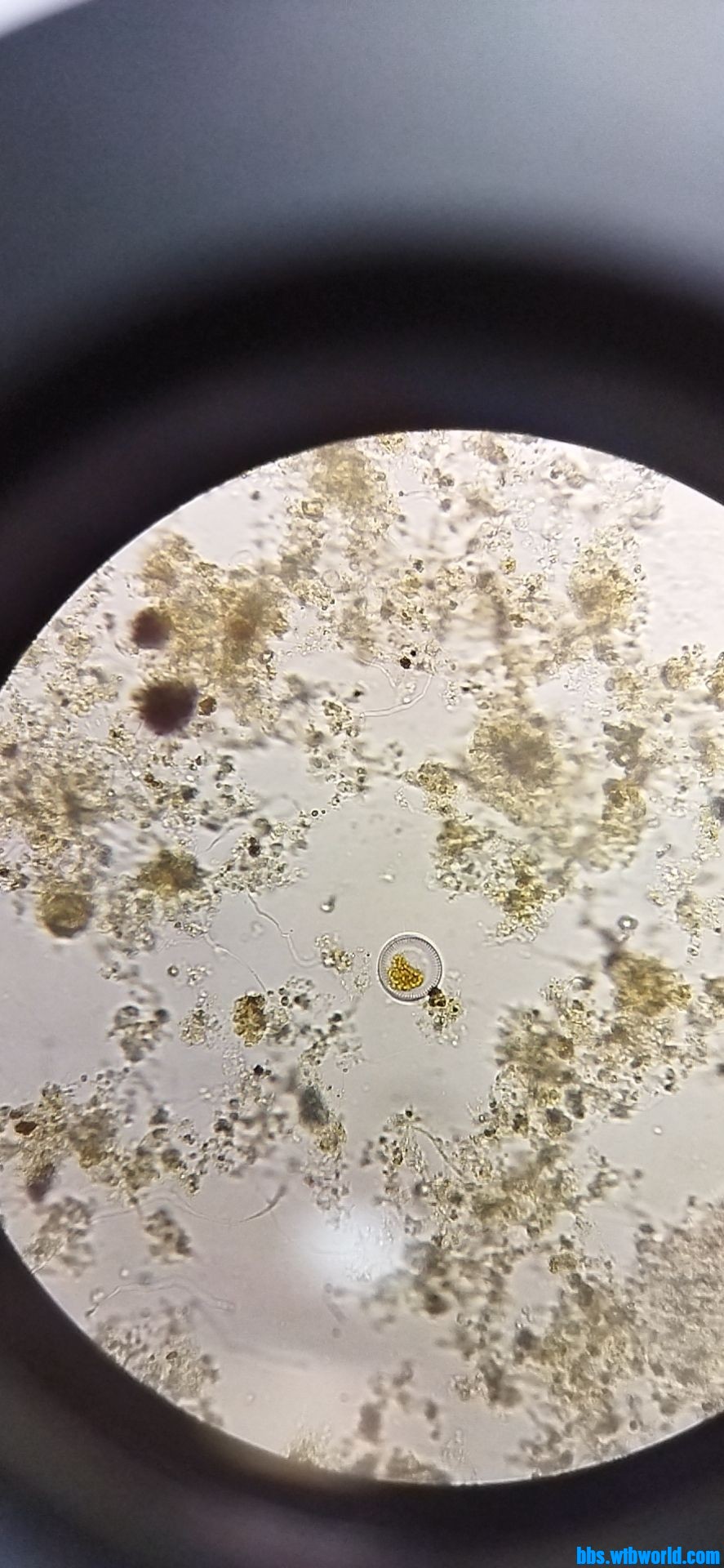 wechat_upload163729260761971a3f0282f