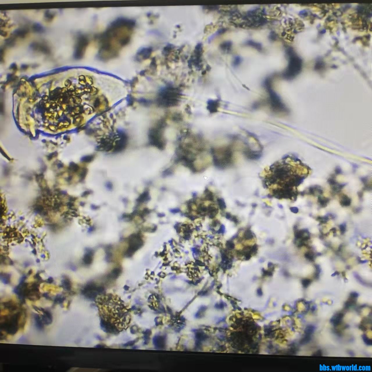 wechat_upload163737329761985571e706d