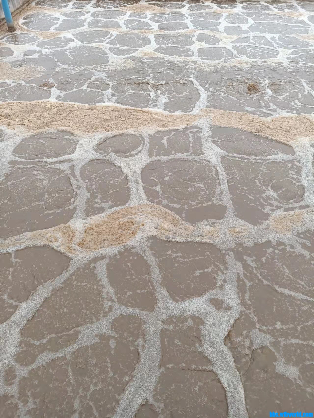 wechat_upload16373801006198700437b45