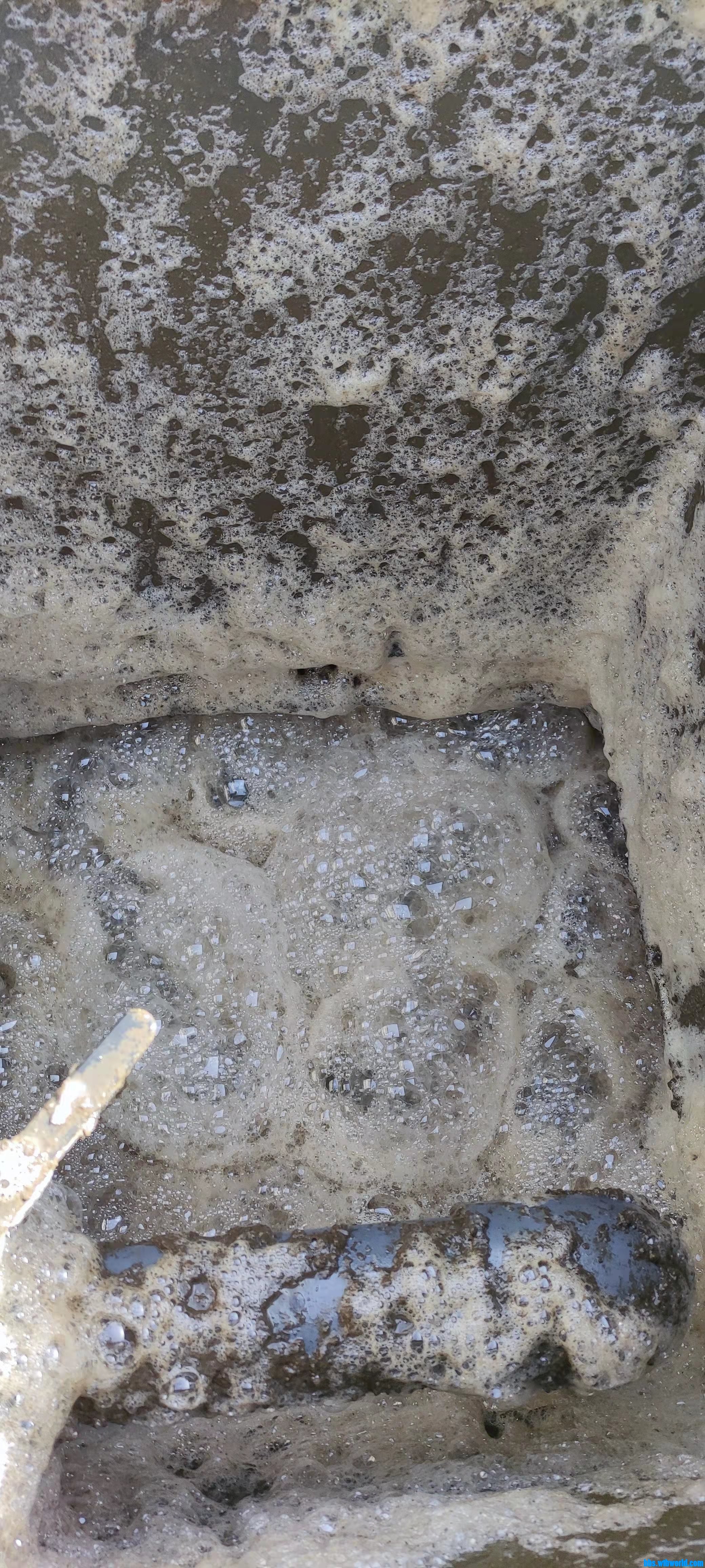 wechat_upload1637551763619b0e9308c7a