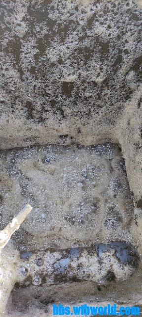 wechat_upload1637570927619b596fdf6ee