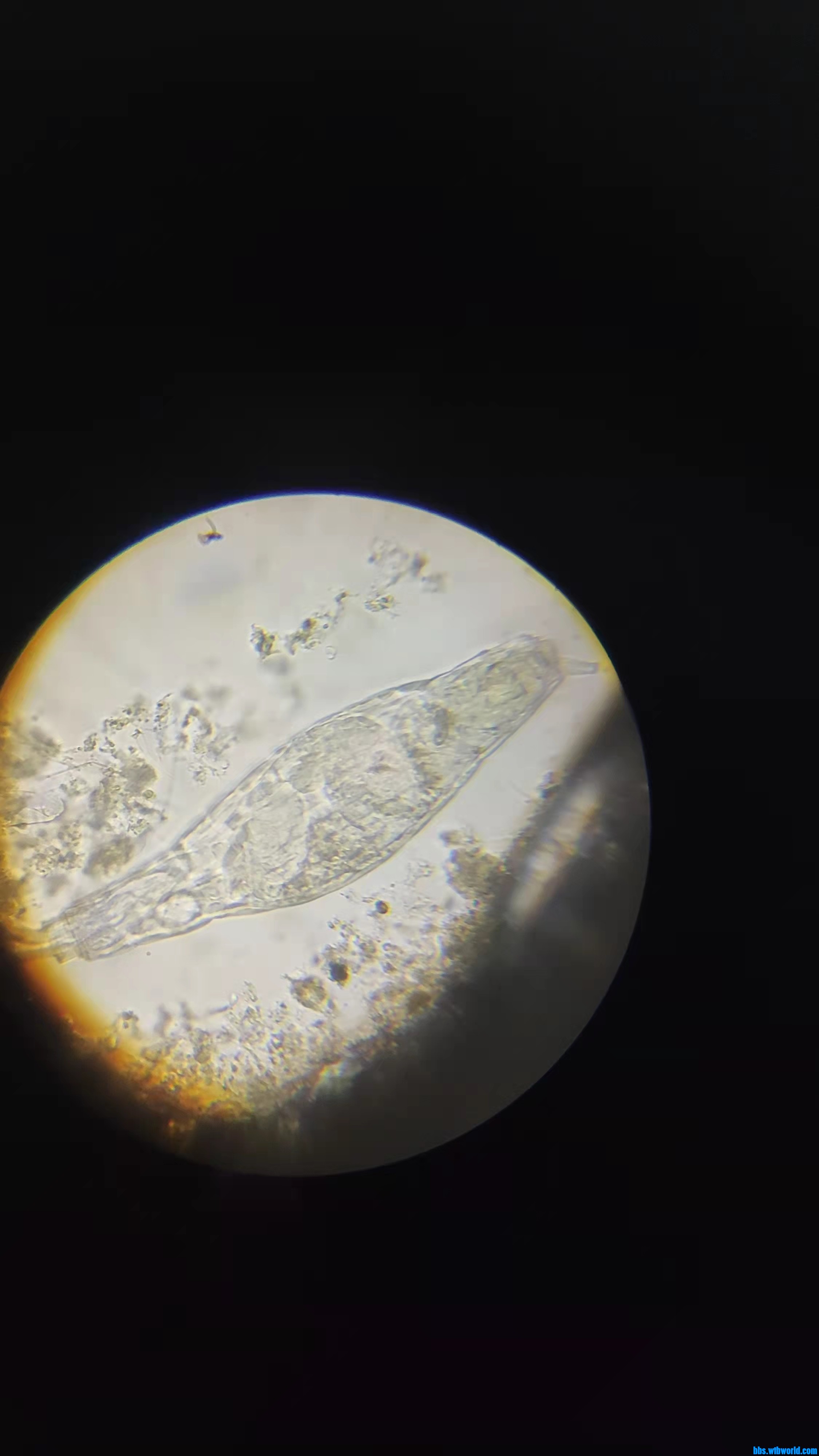 wechat_upload1637763981619e4b8d53723