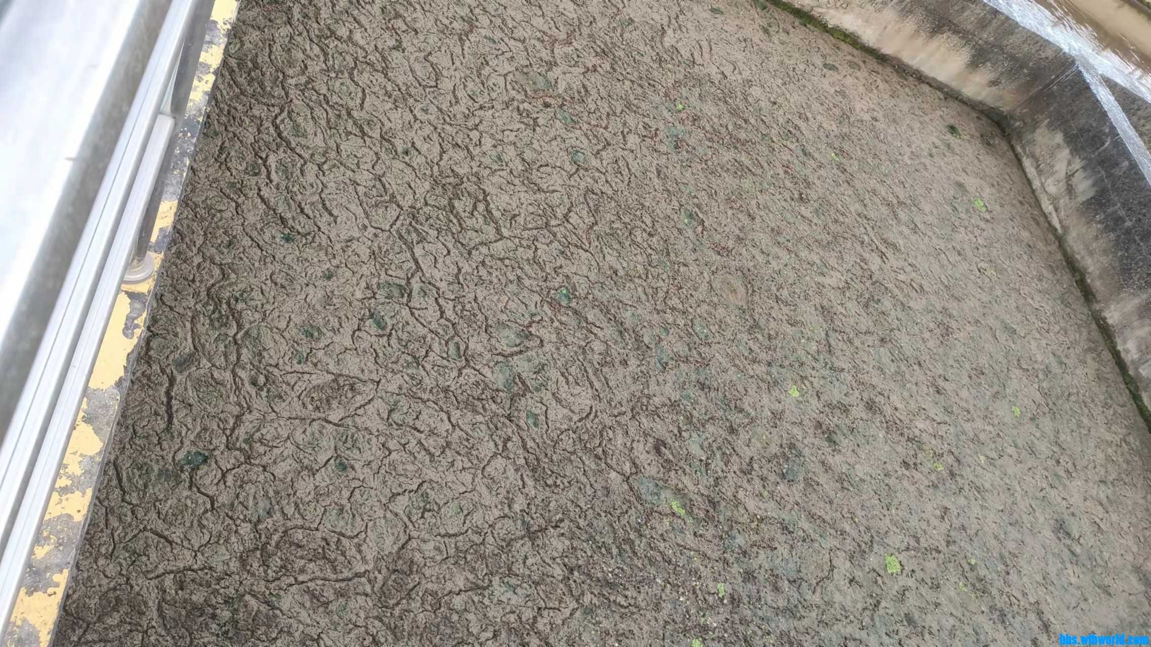 wechat_upload163791875861a0a8265c491