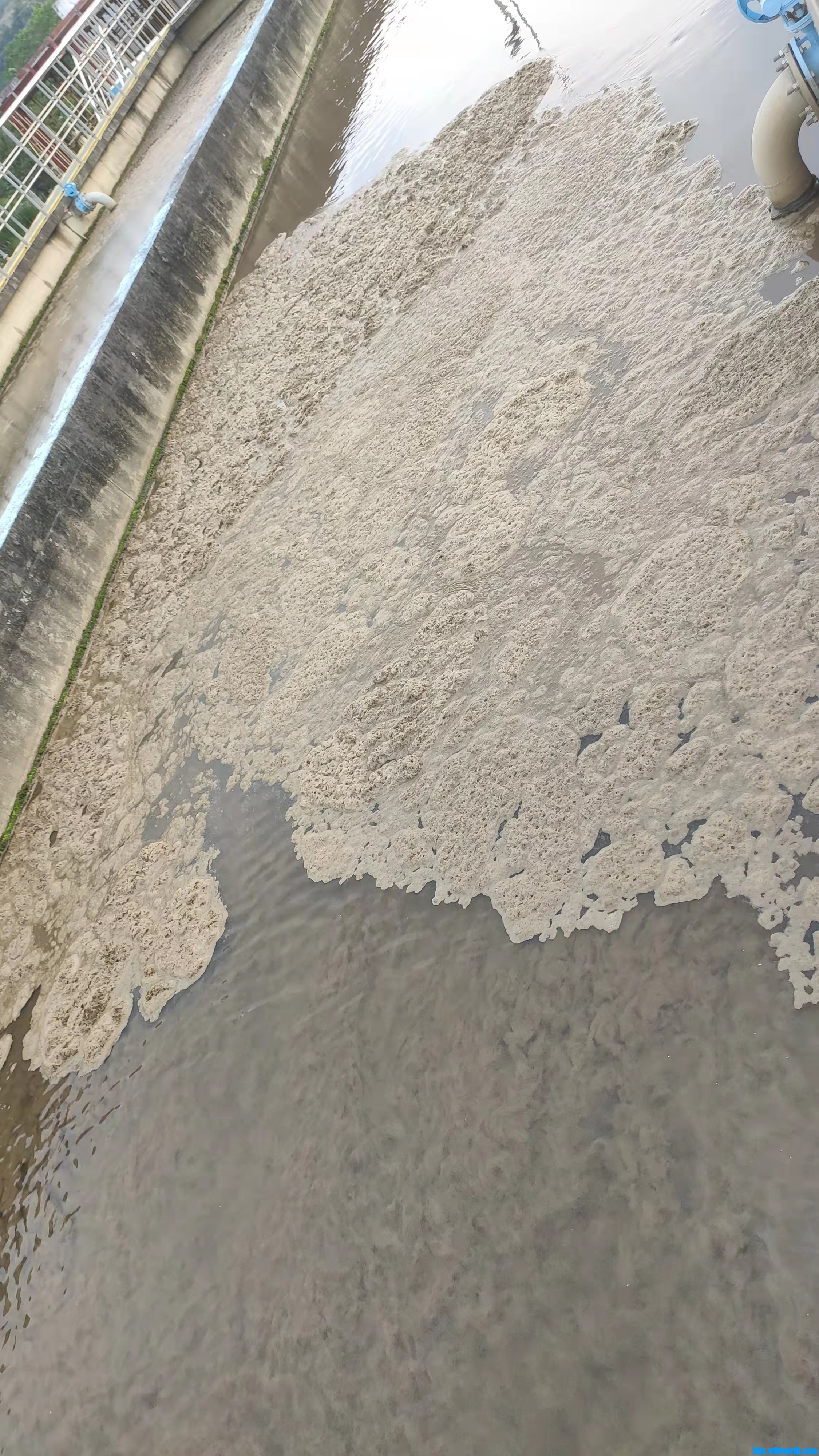 wechat_upload163791875961a0a82765c10