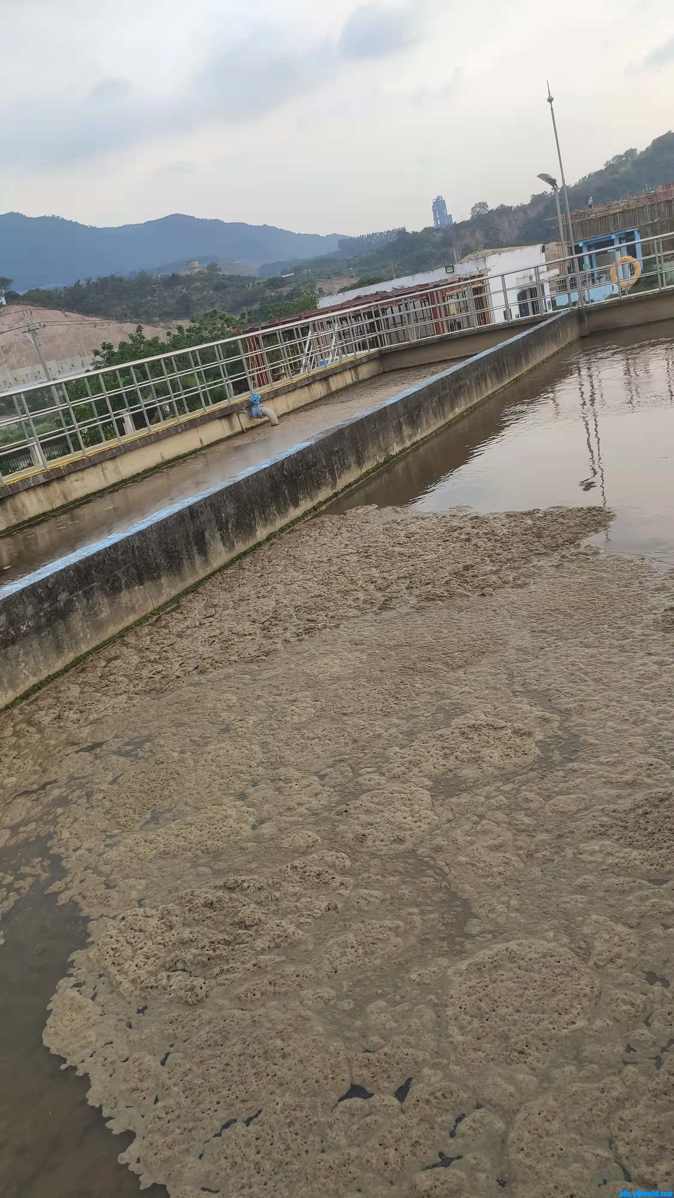 wechat_upload163791876061a0a828b52f8