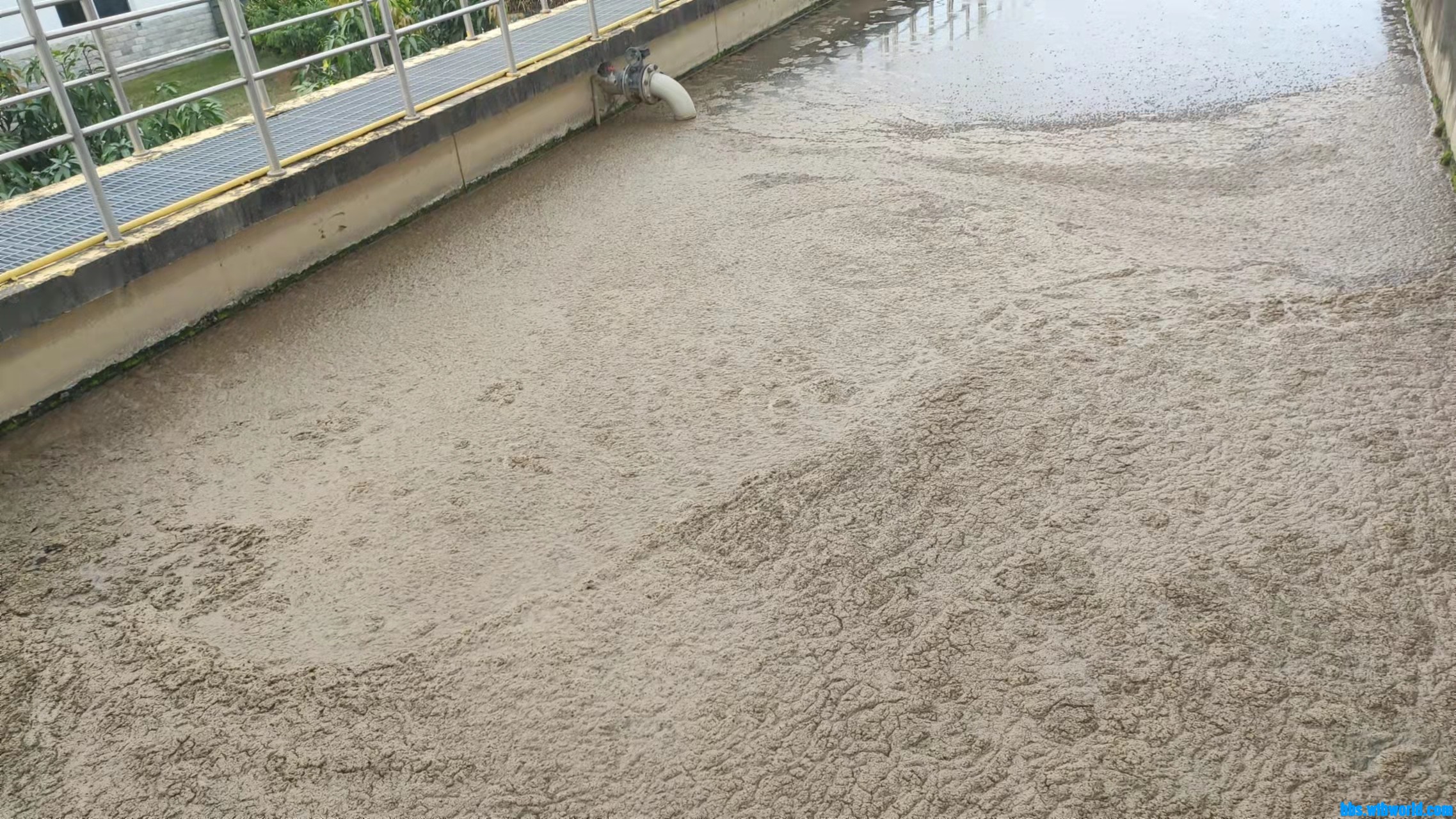 wechat_upload163791876361a0a82b976dd