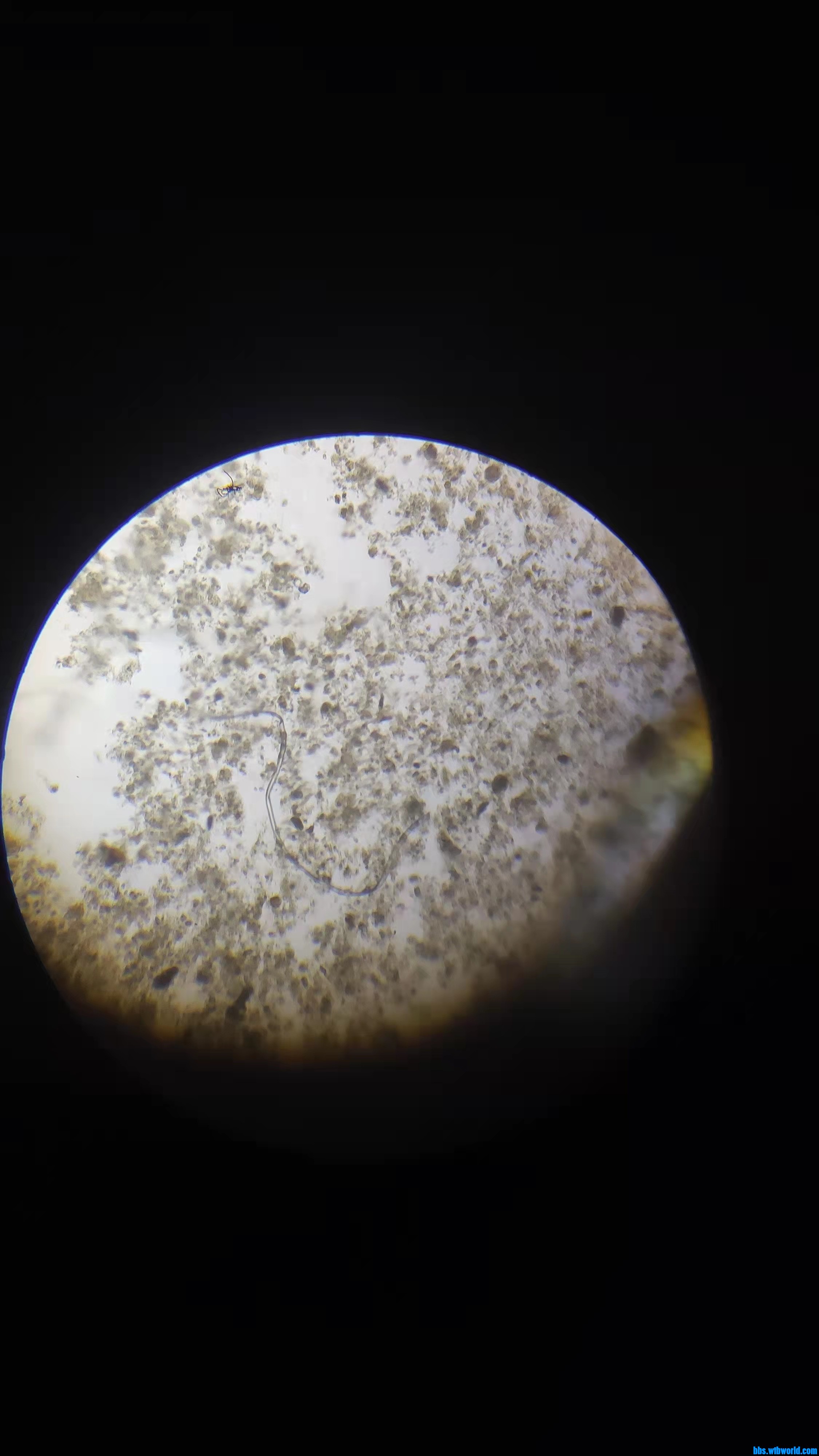 wechat_upload163791876661a0a82e3abd0