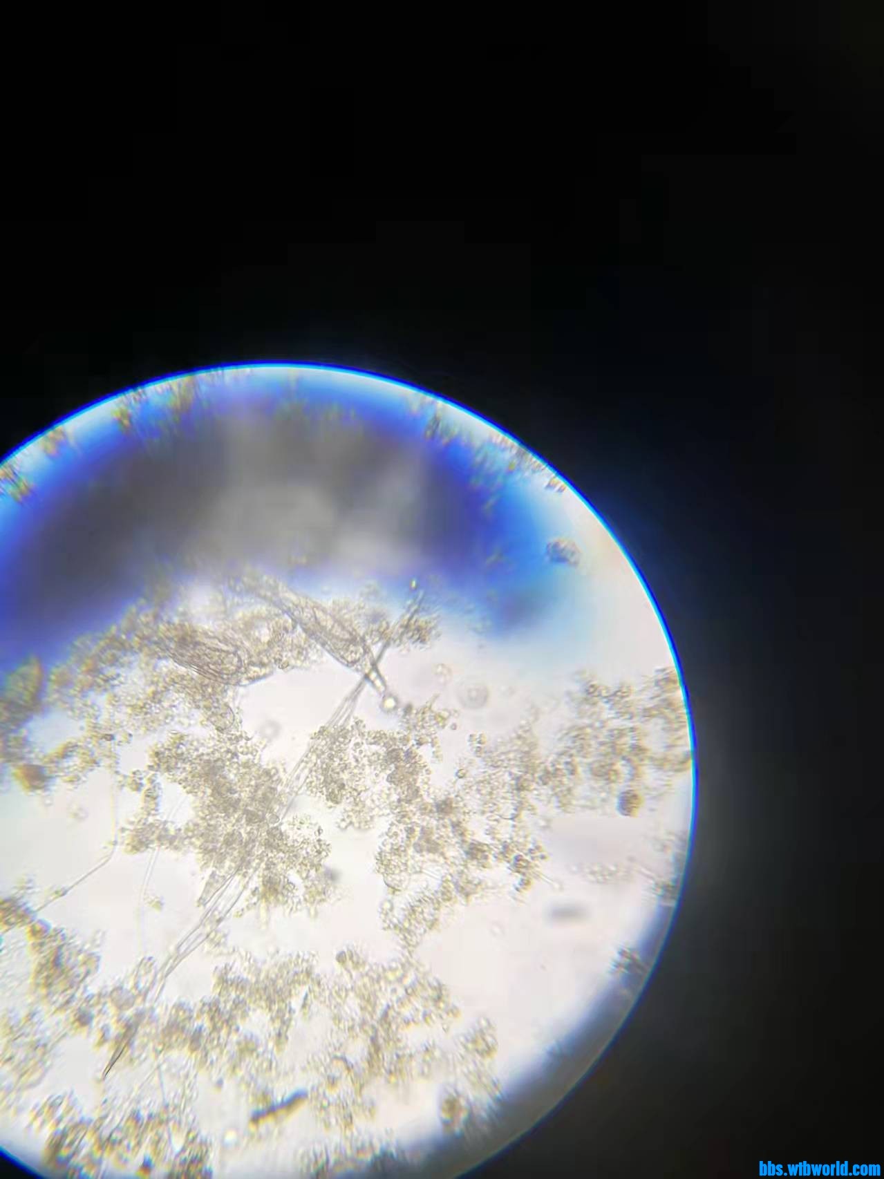 wechat_upload163799790761a1dd53d4213