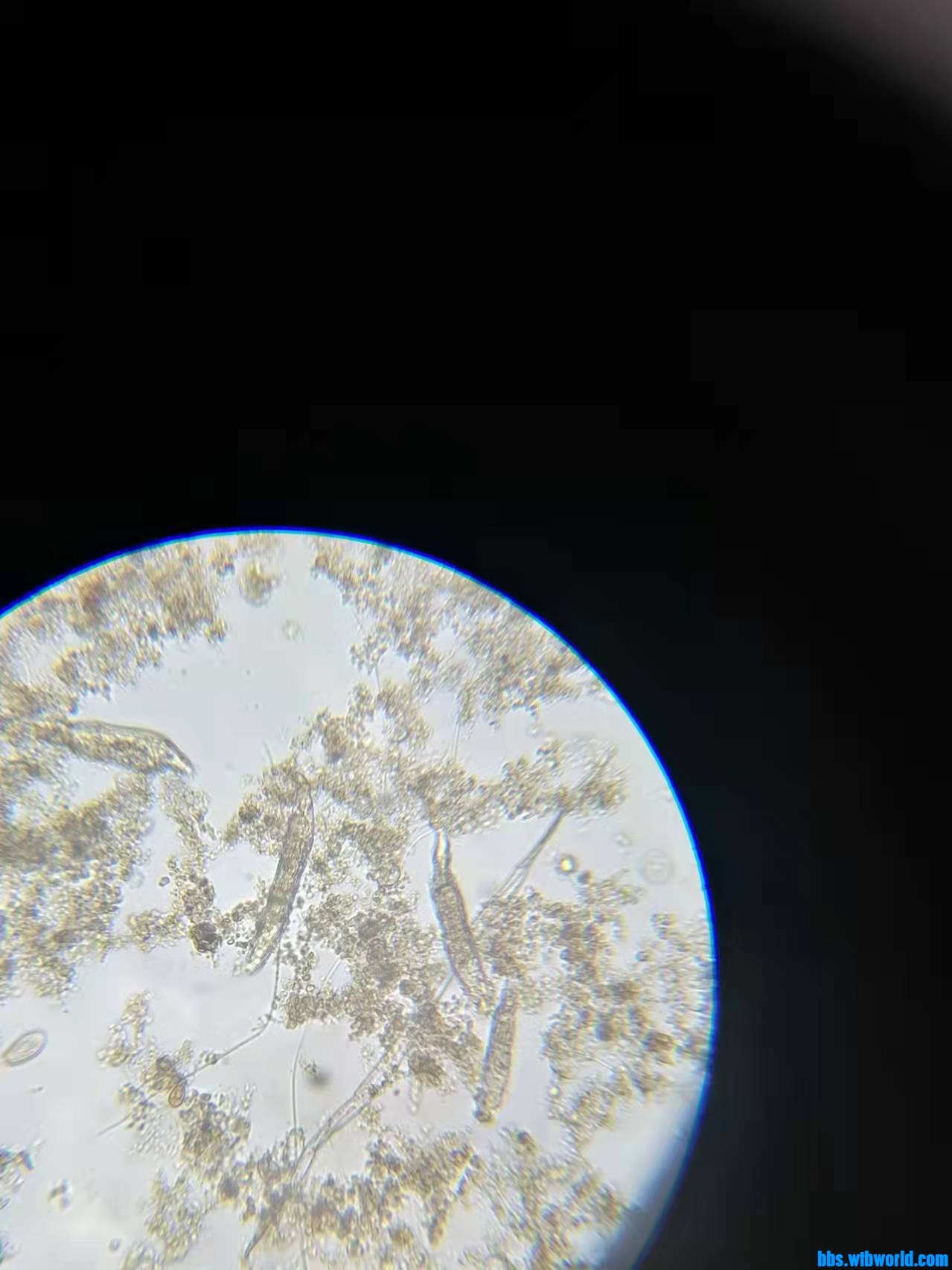 wechat_upload163799790761a1dd5388edf