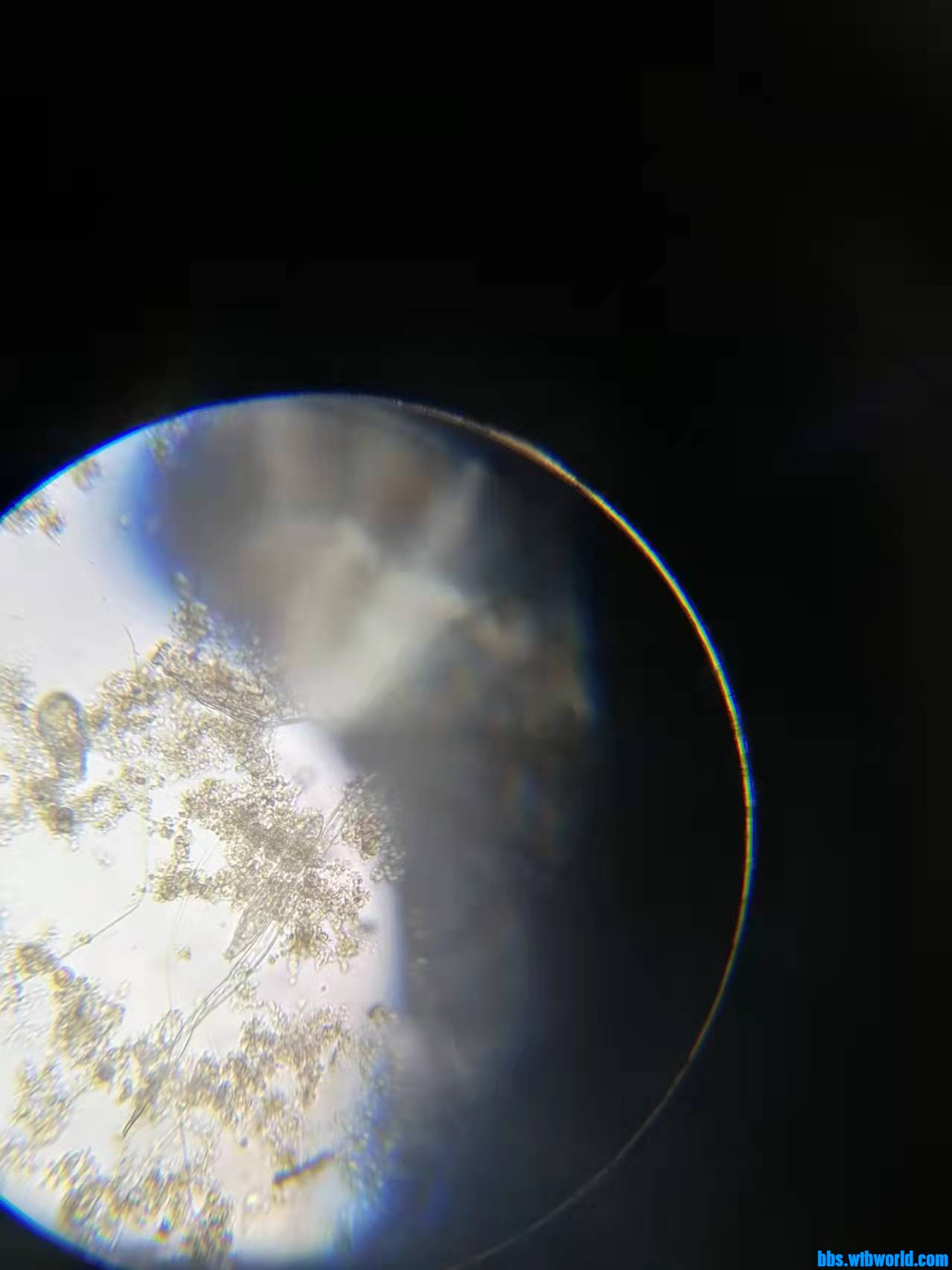 wechat_upload163799790861a1dd542e7a3