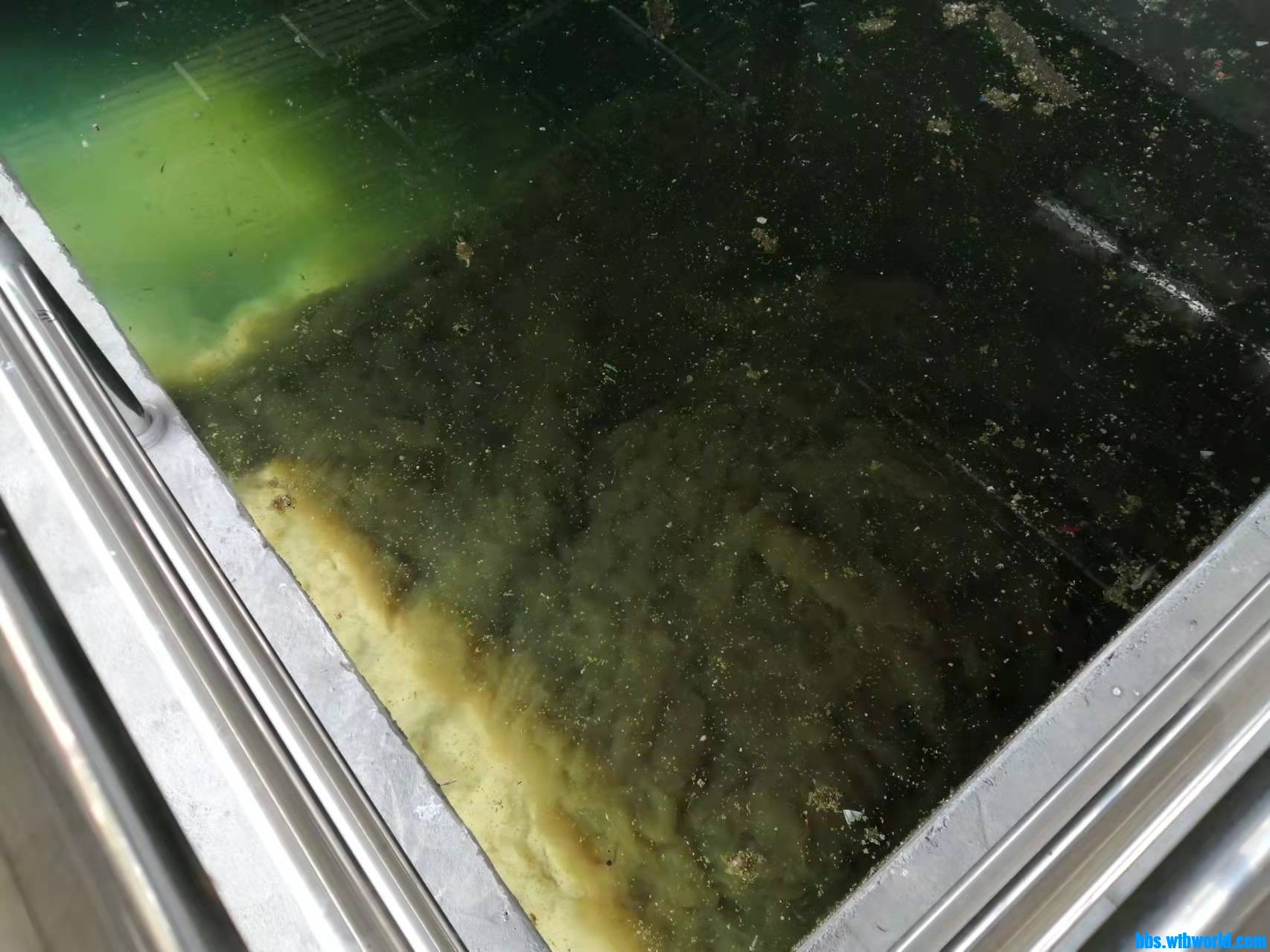 wechat_upload163809878361a3675fc90ea